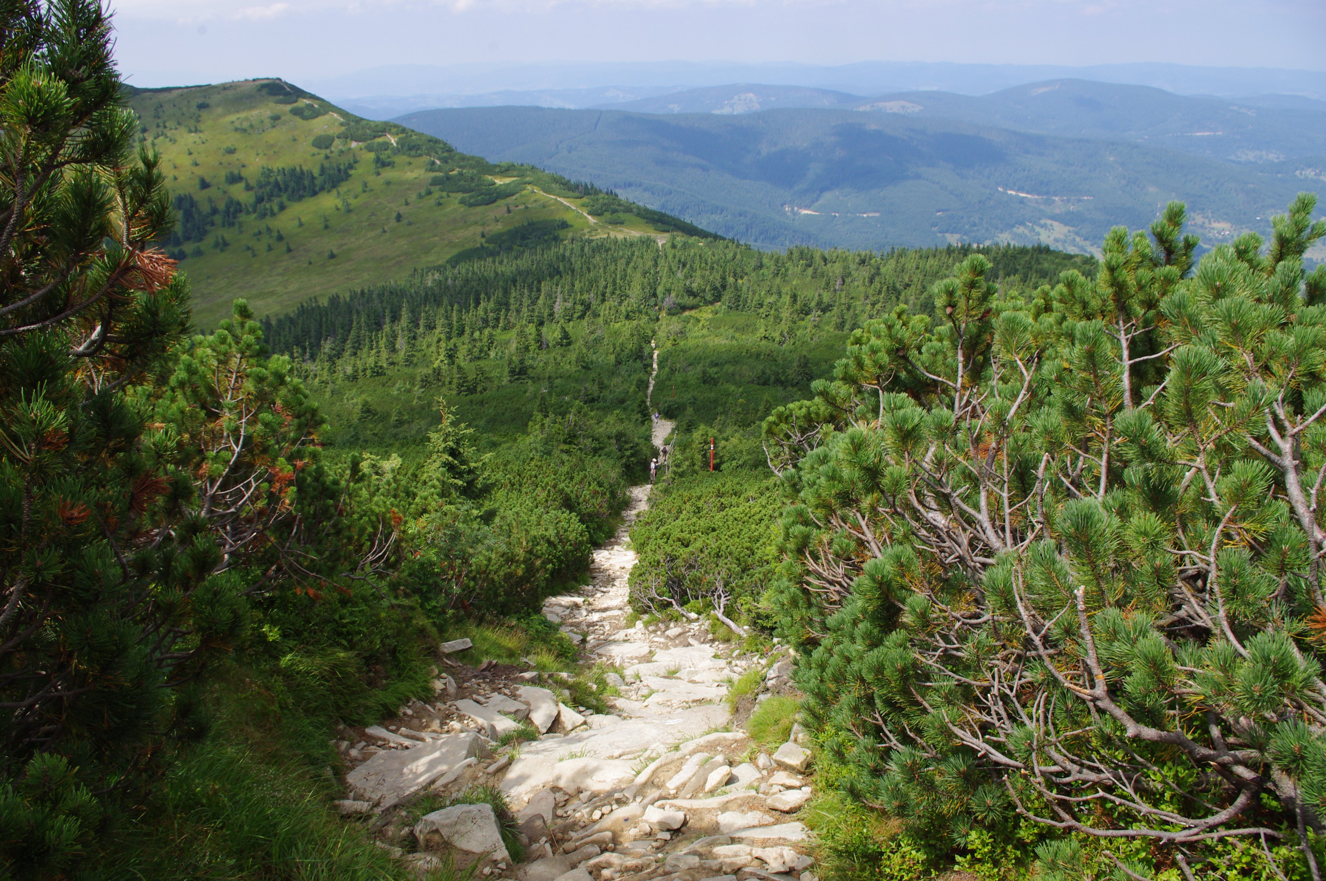 Zawoja