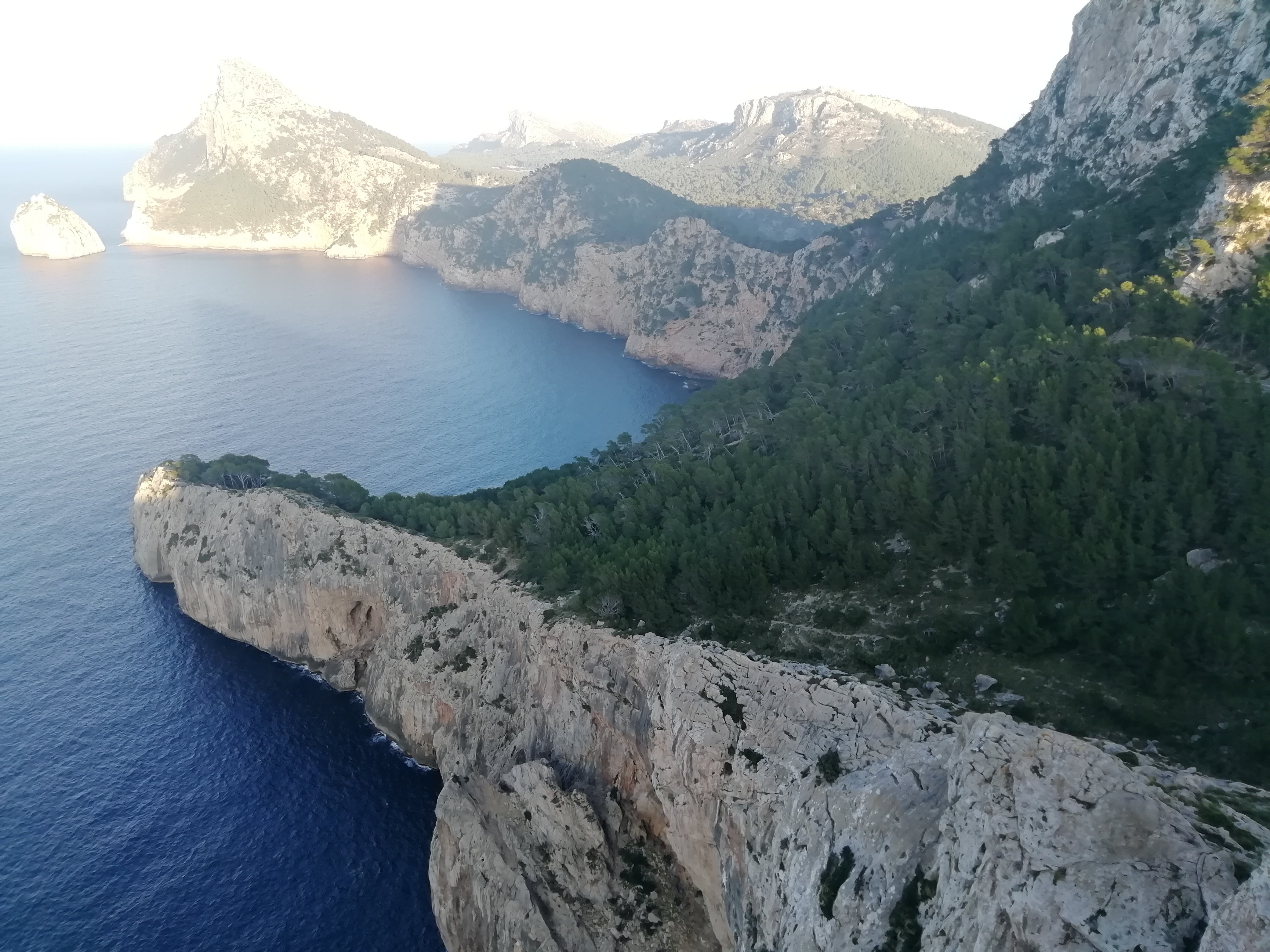 Pollensa