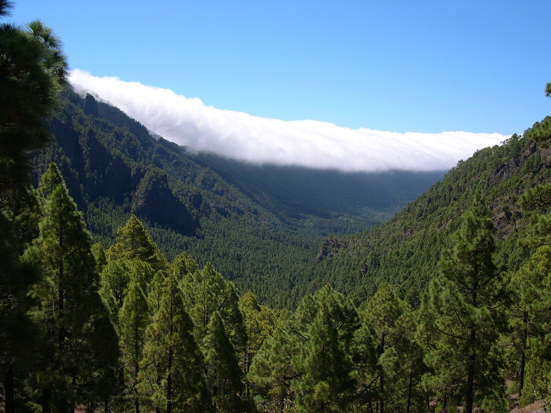 La Palma