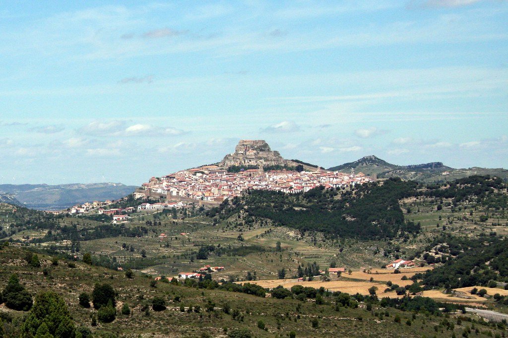 Morella