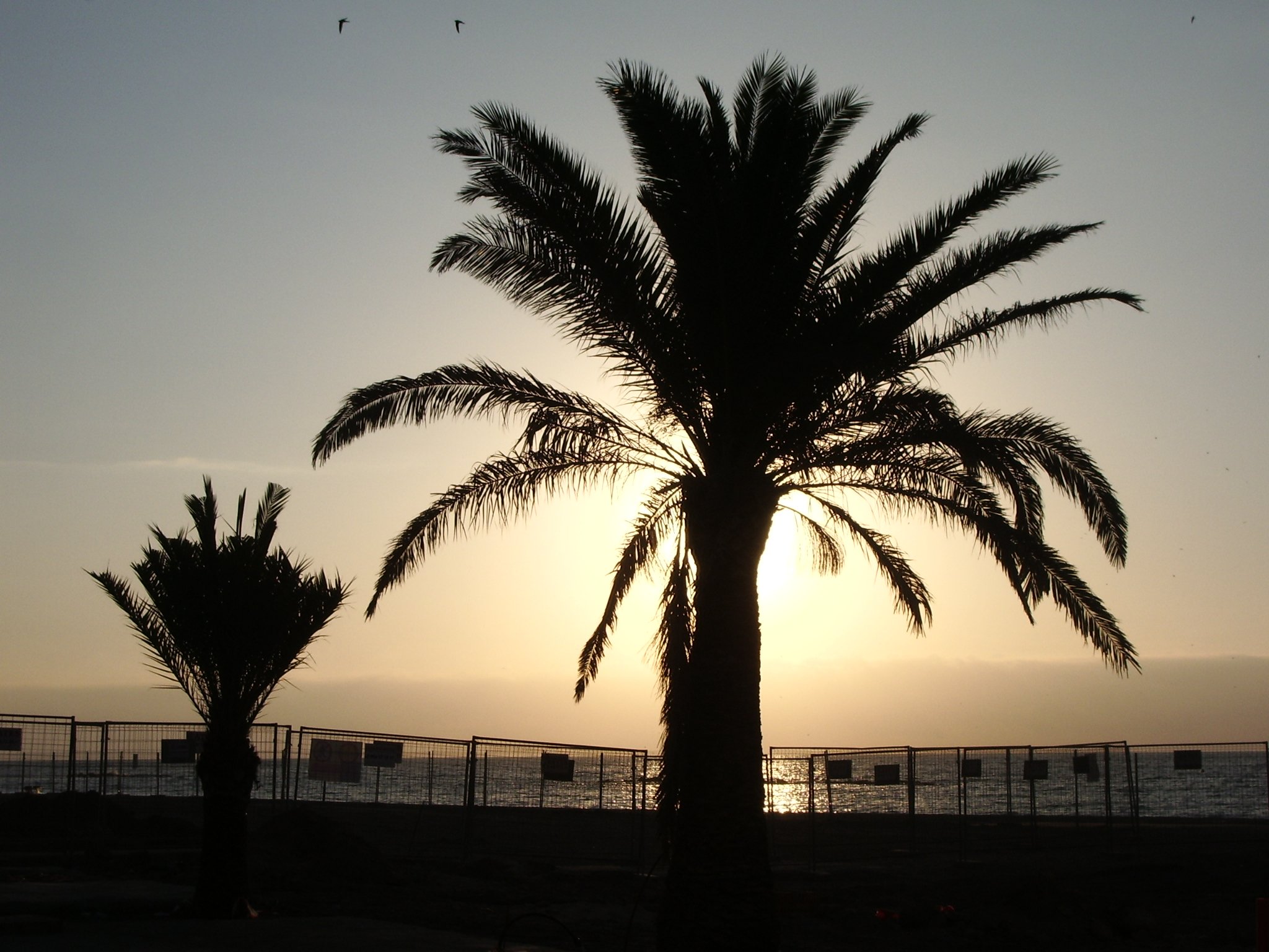Vinaros