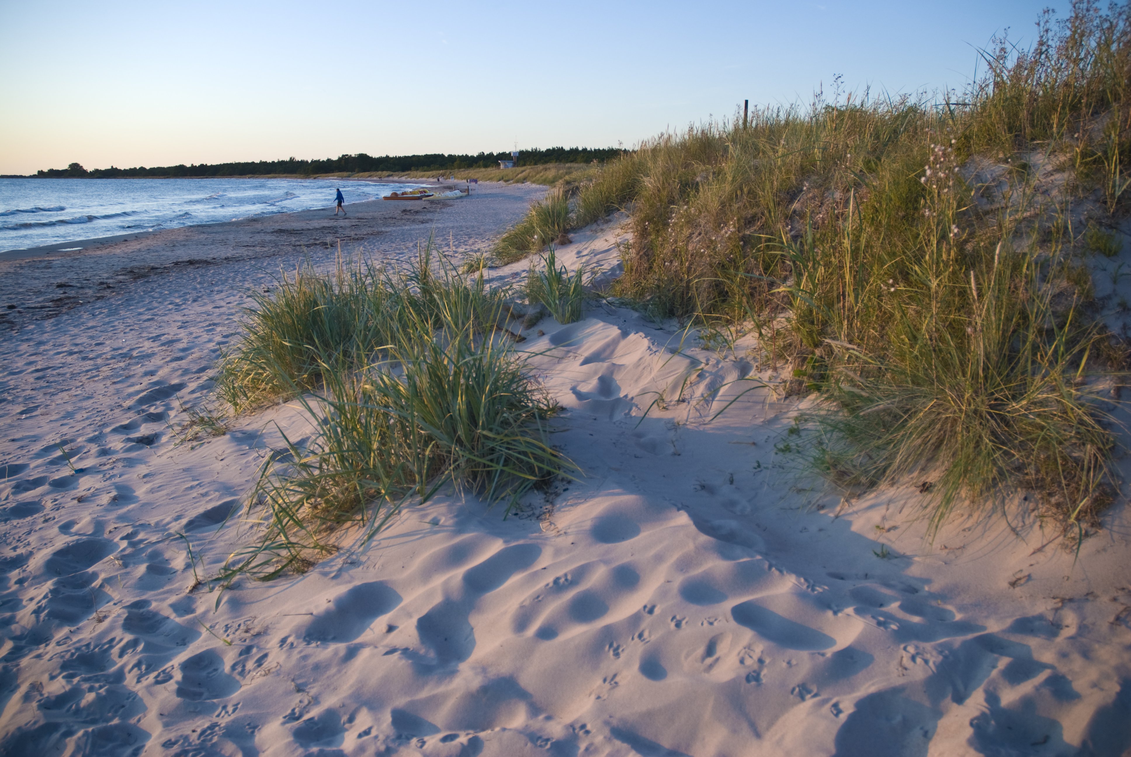 Gotland