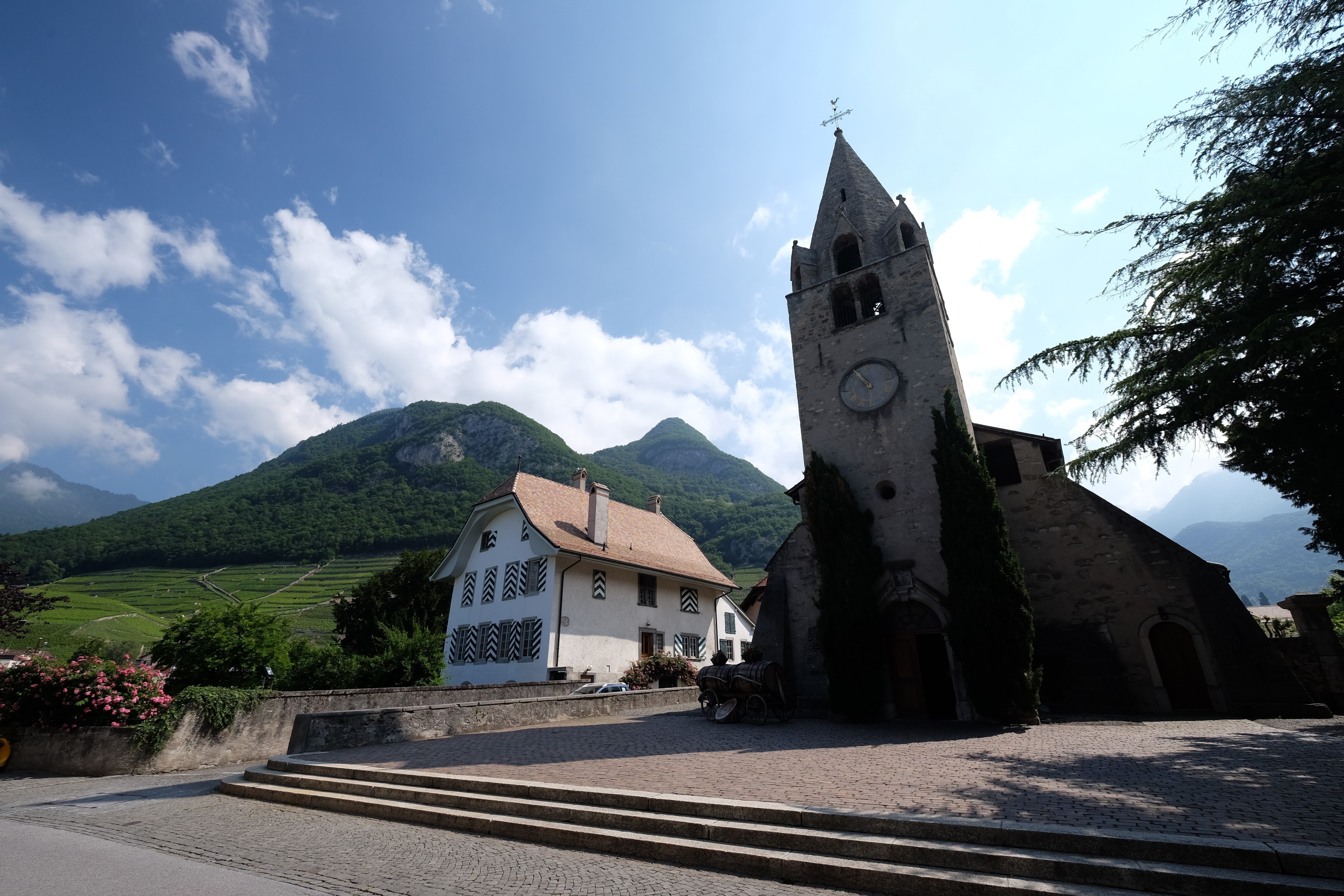 Aigle