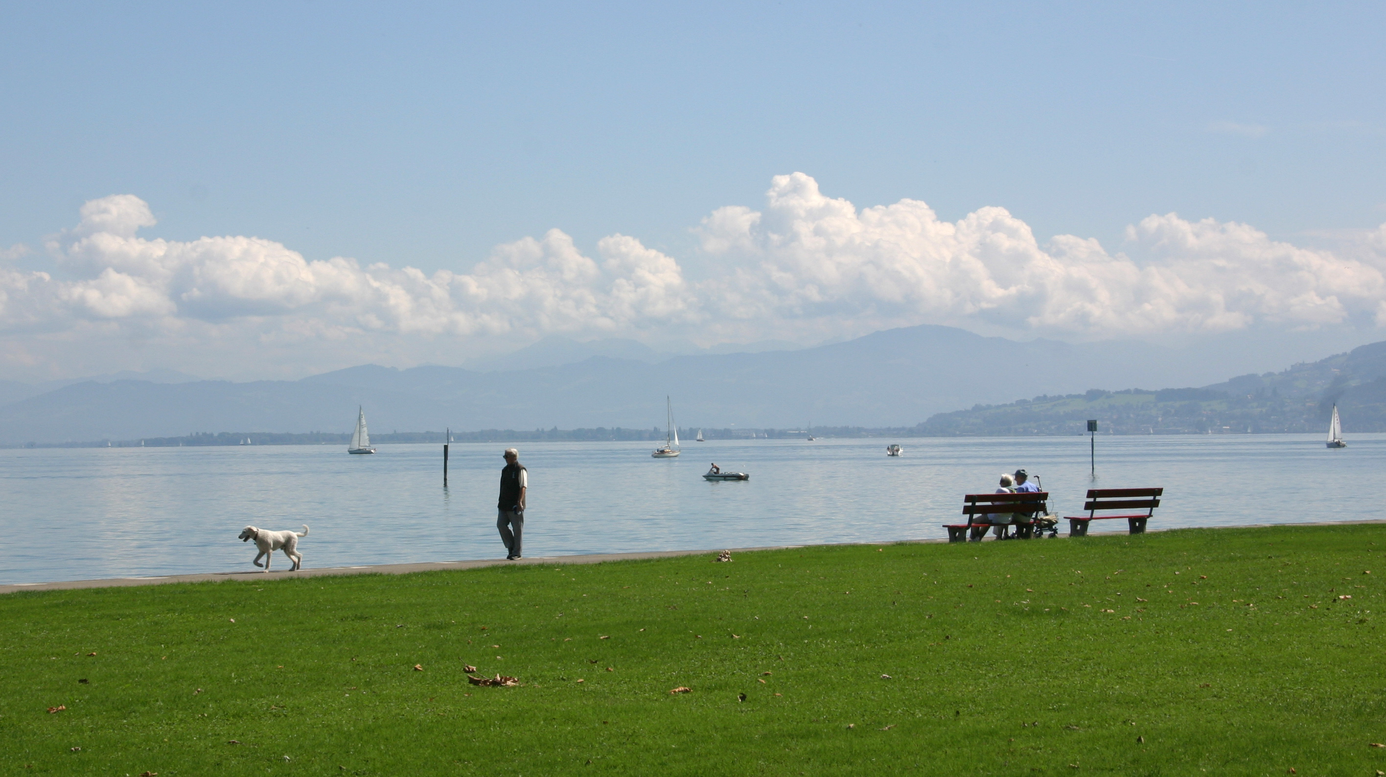 Arbon