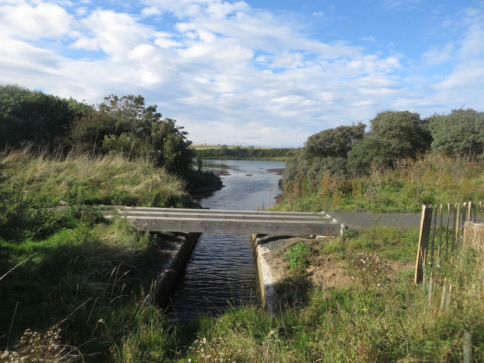 Hauxley Nature Reserve