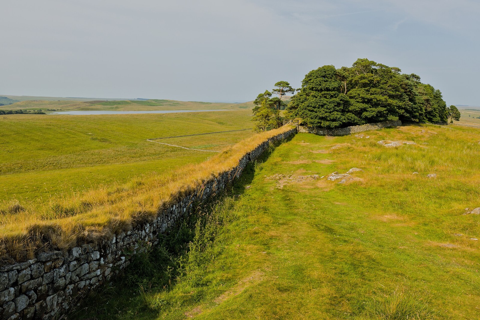 Hadrian's Wall