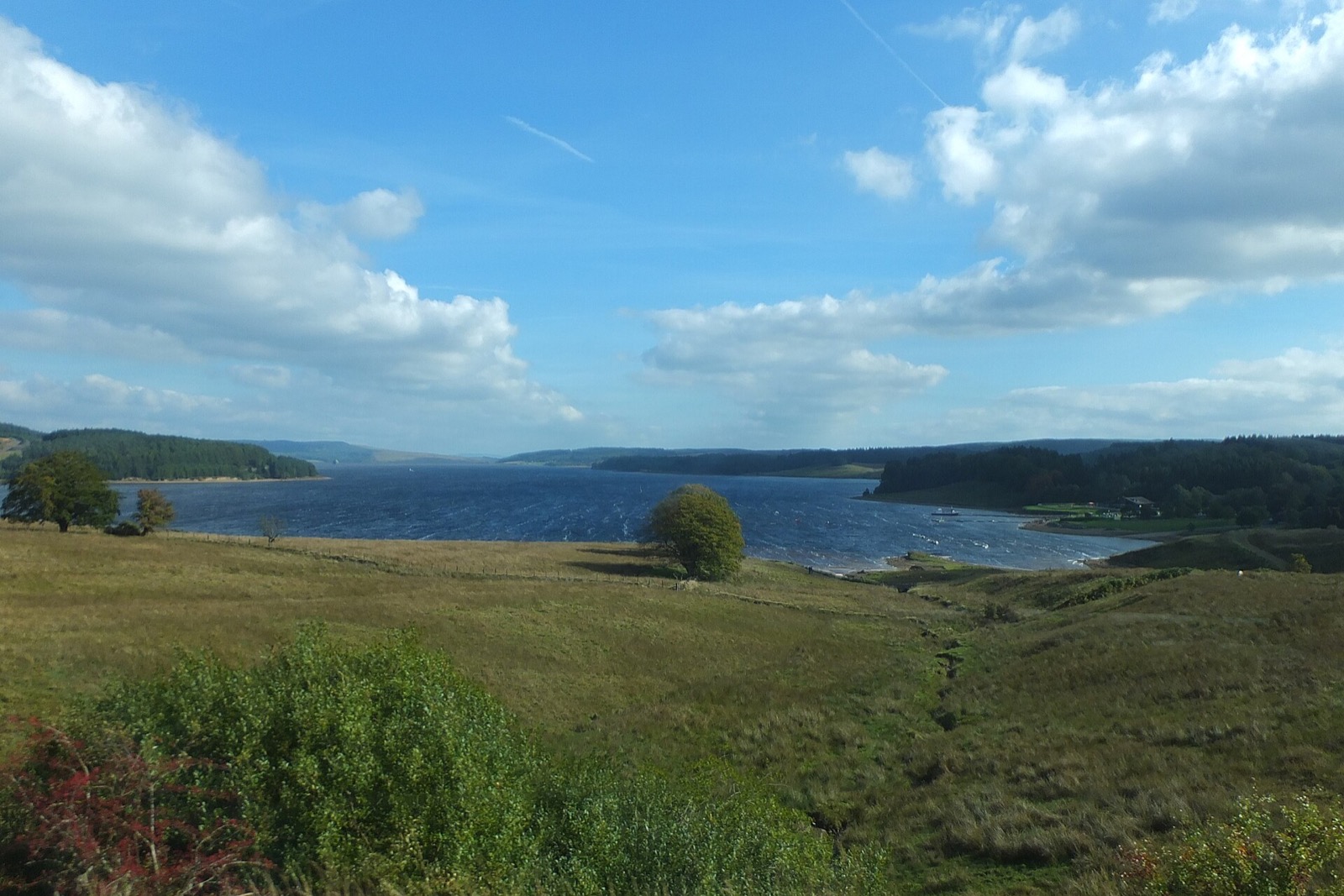 Kielder Water and Forest Park