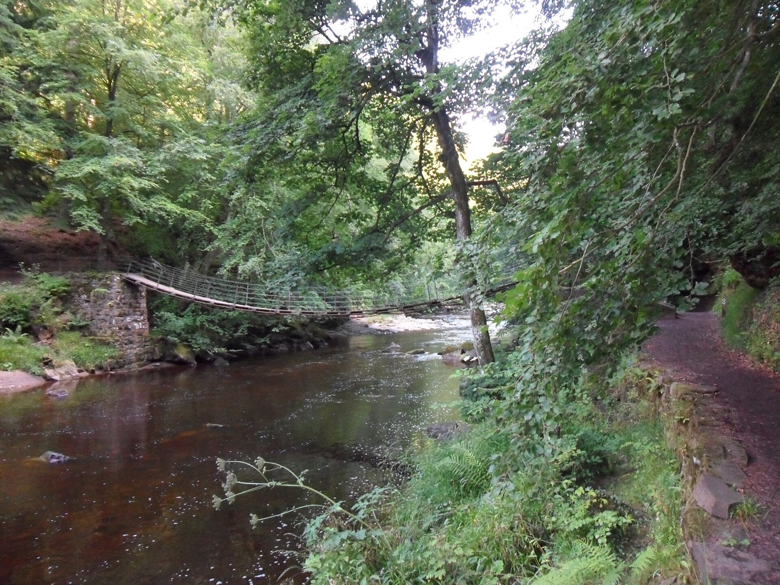 Allen Banks and Staward Gorge