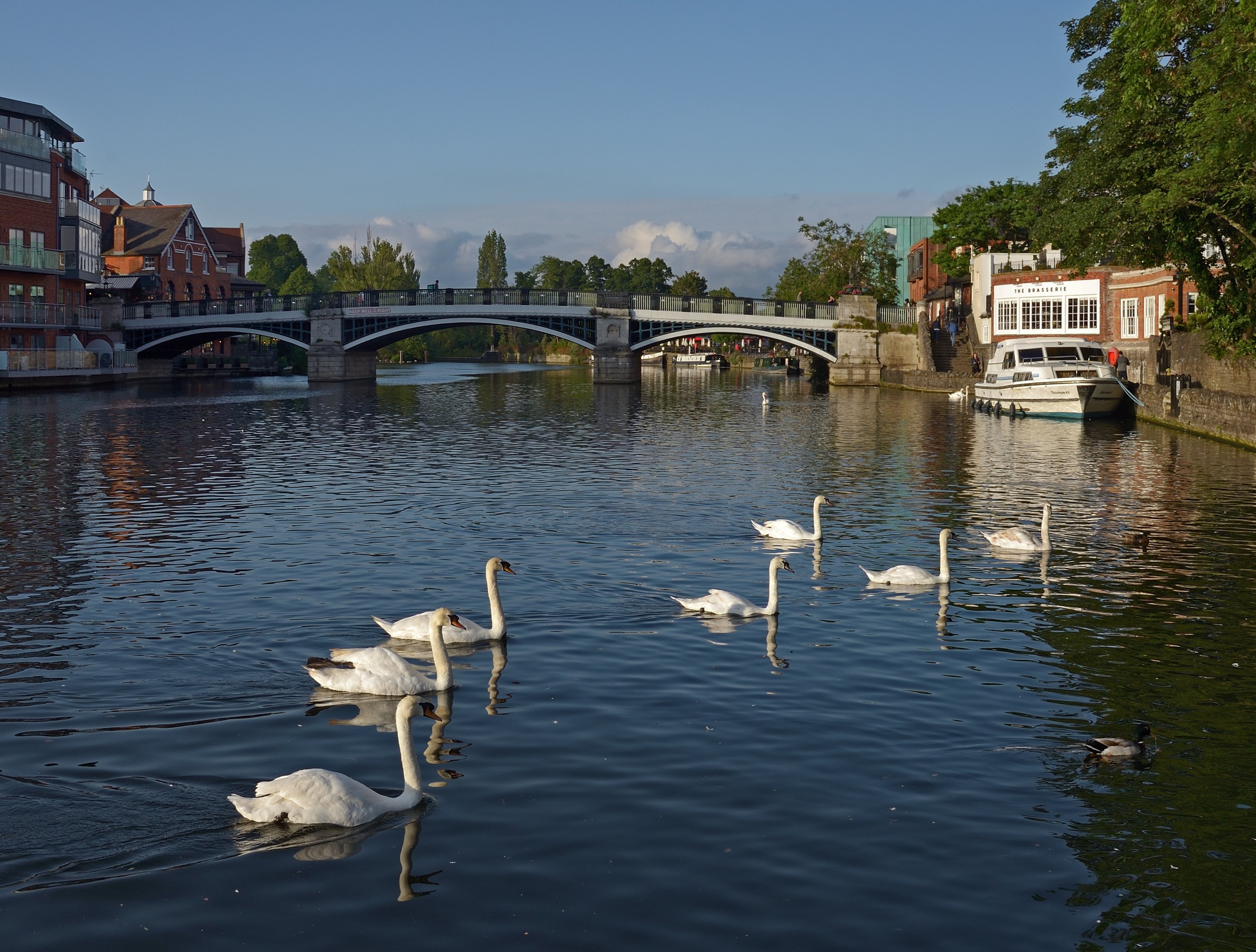 Windsor