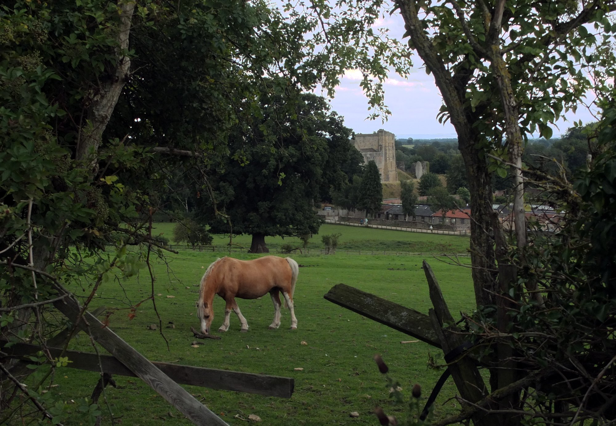 Helmsley