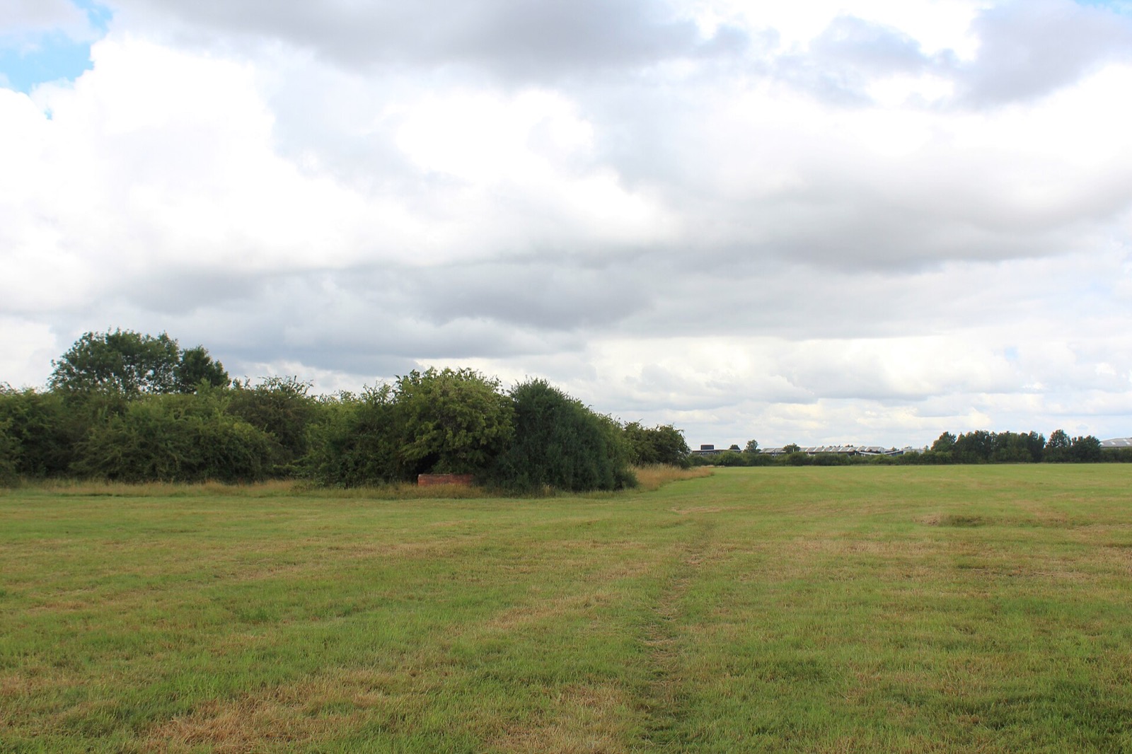 Bootham Stray