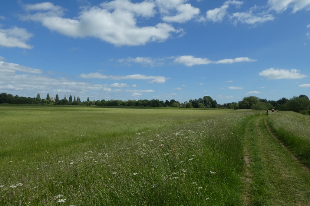 Clifton Ings