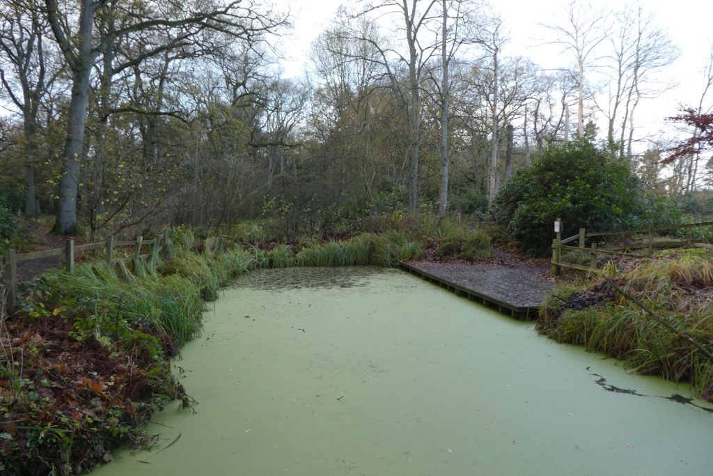 Moorlands Nature Reserve