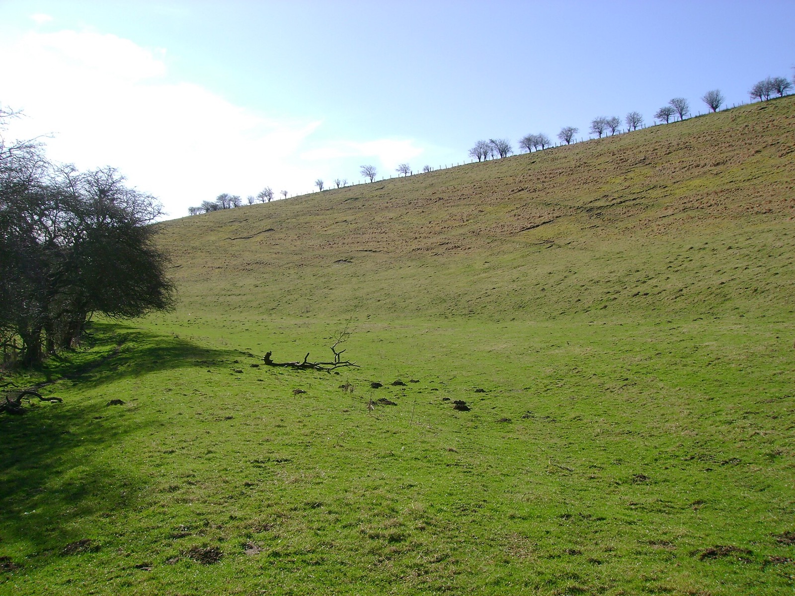 Yorkshire Wolds