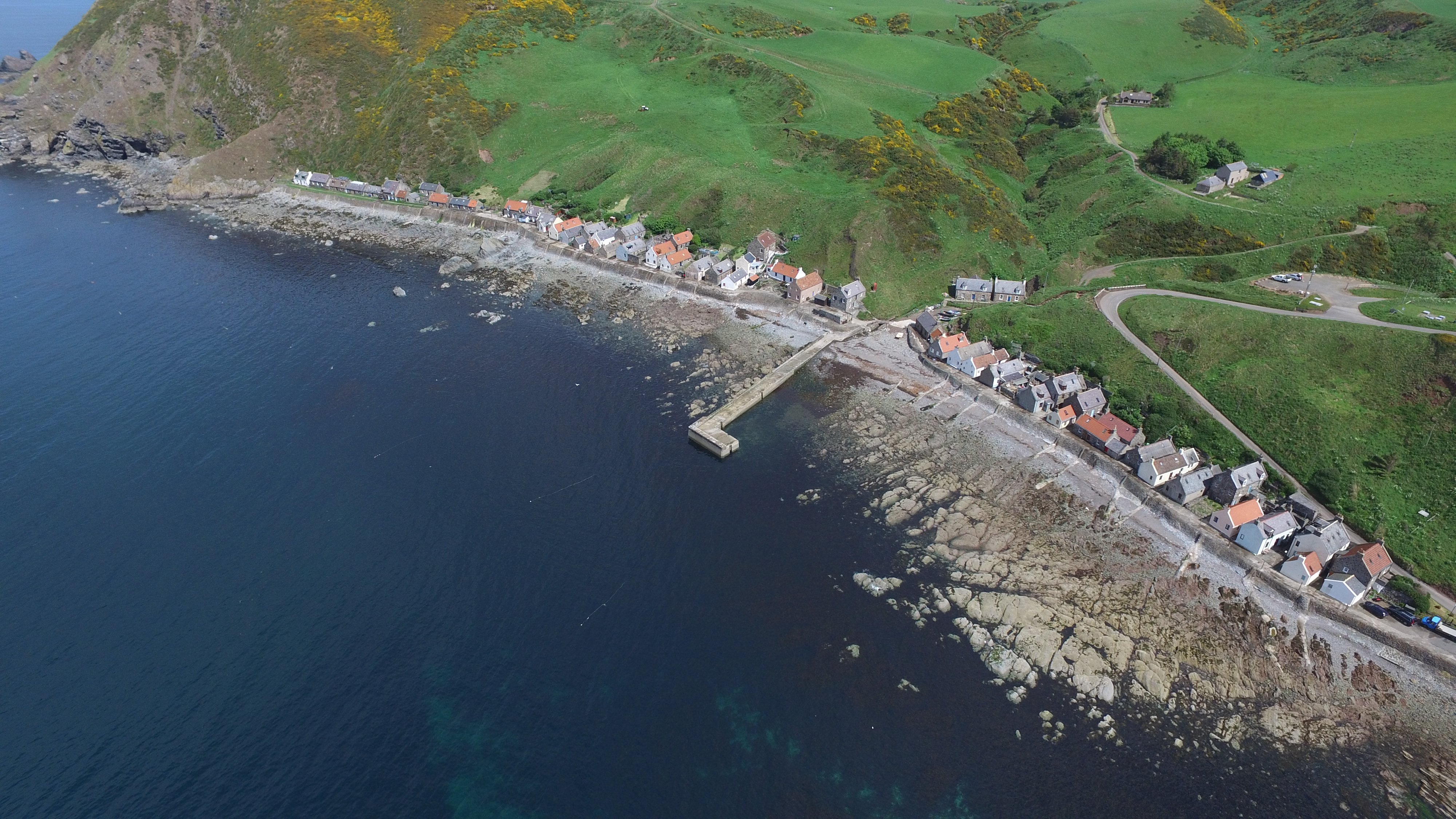 Crovie