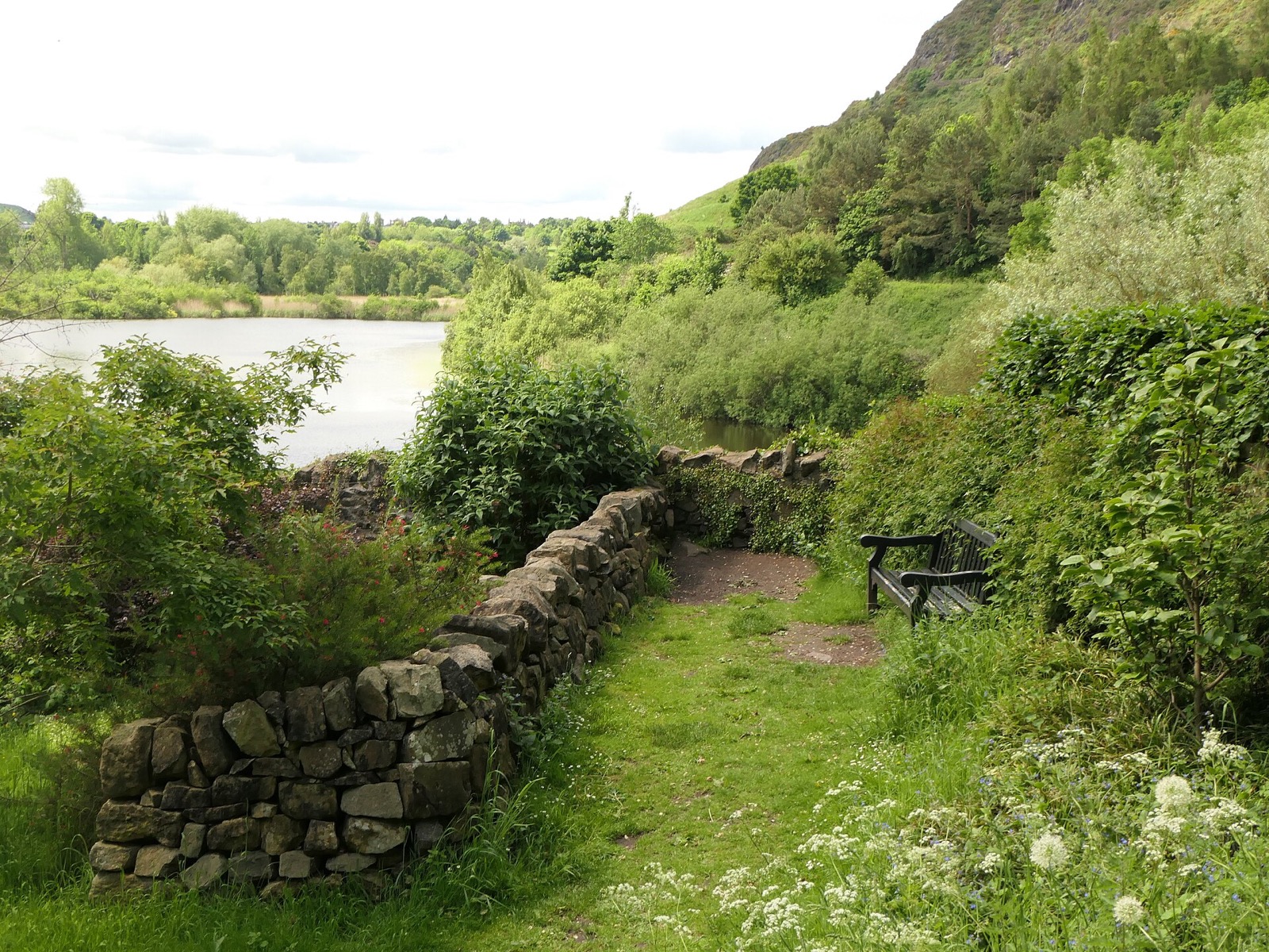 Dr Neil's Garden