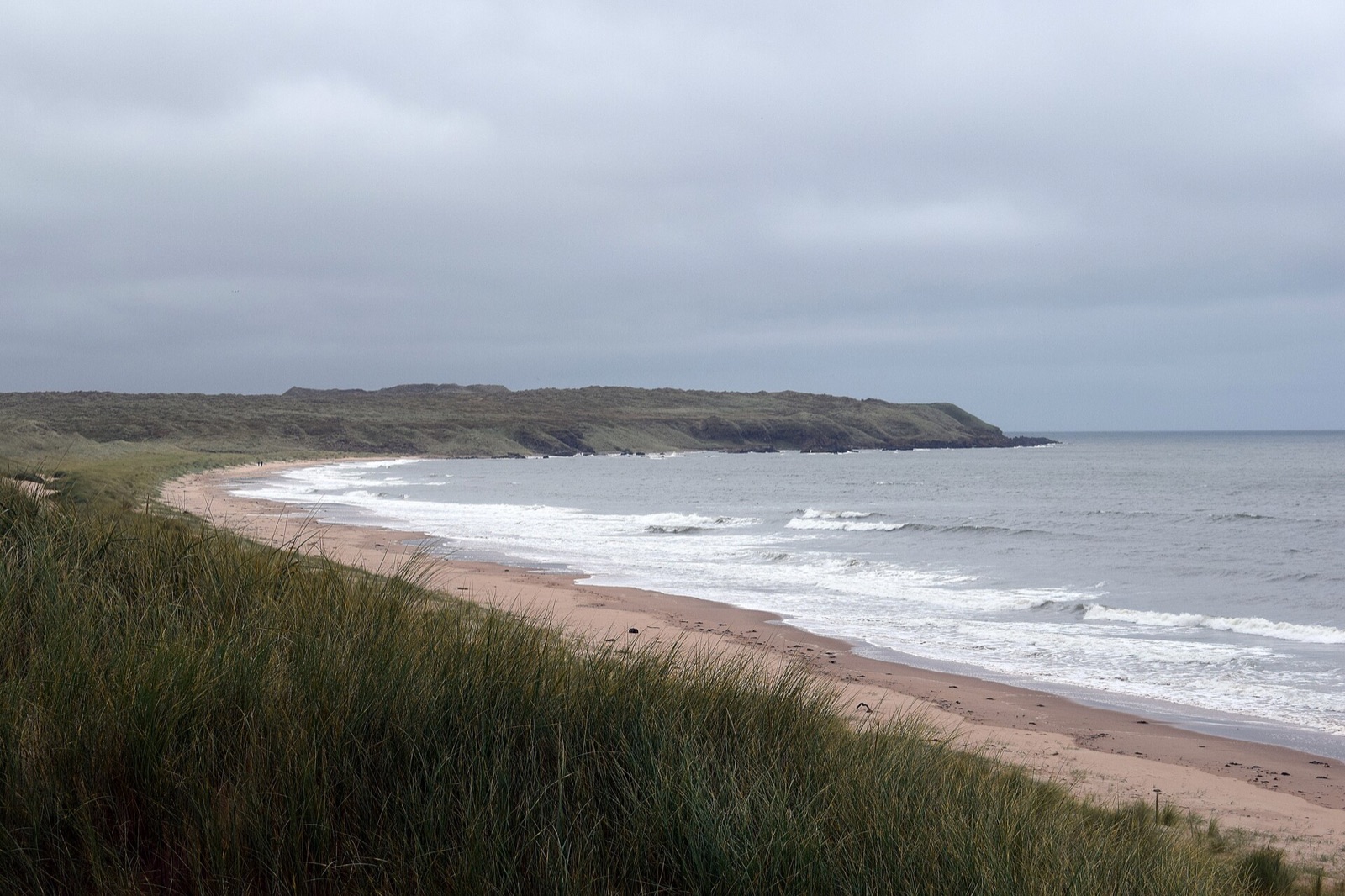 Forvie Nature Reserve