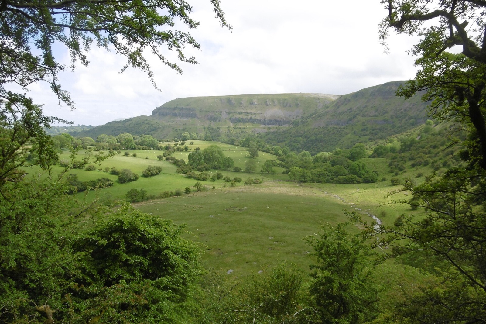 Craig y Cilau Nature Reserve