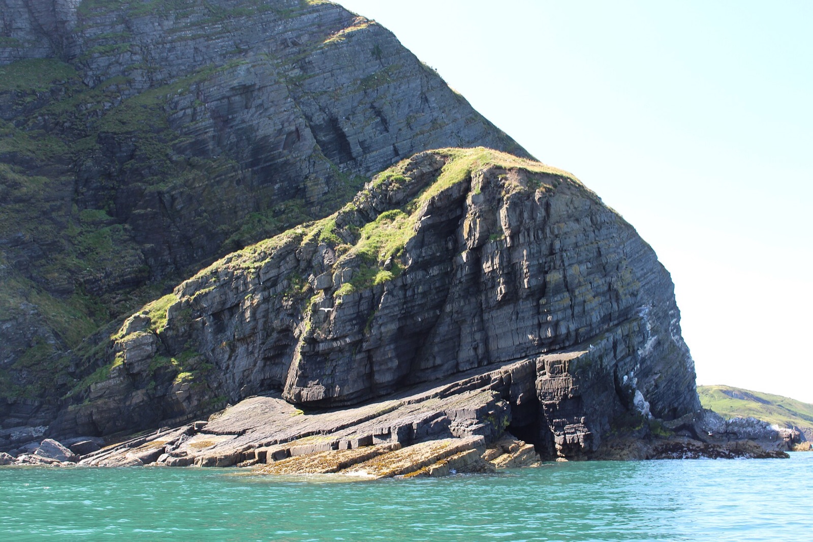 Bird Rock