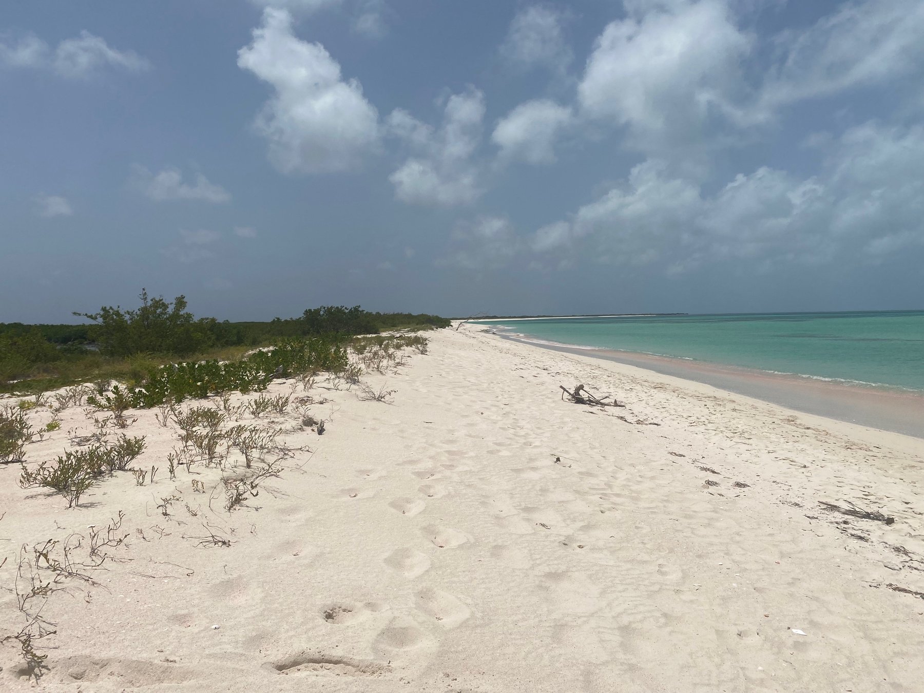 Barbuda