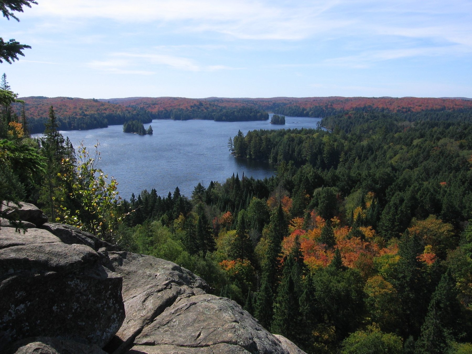 “Algonquin Park”