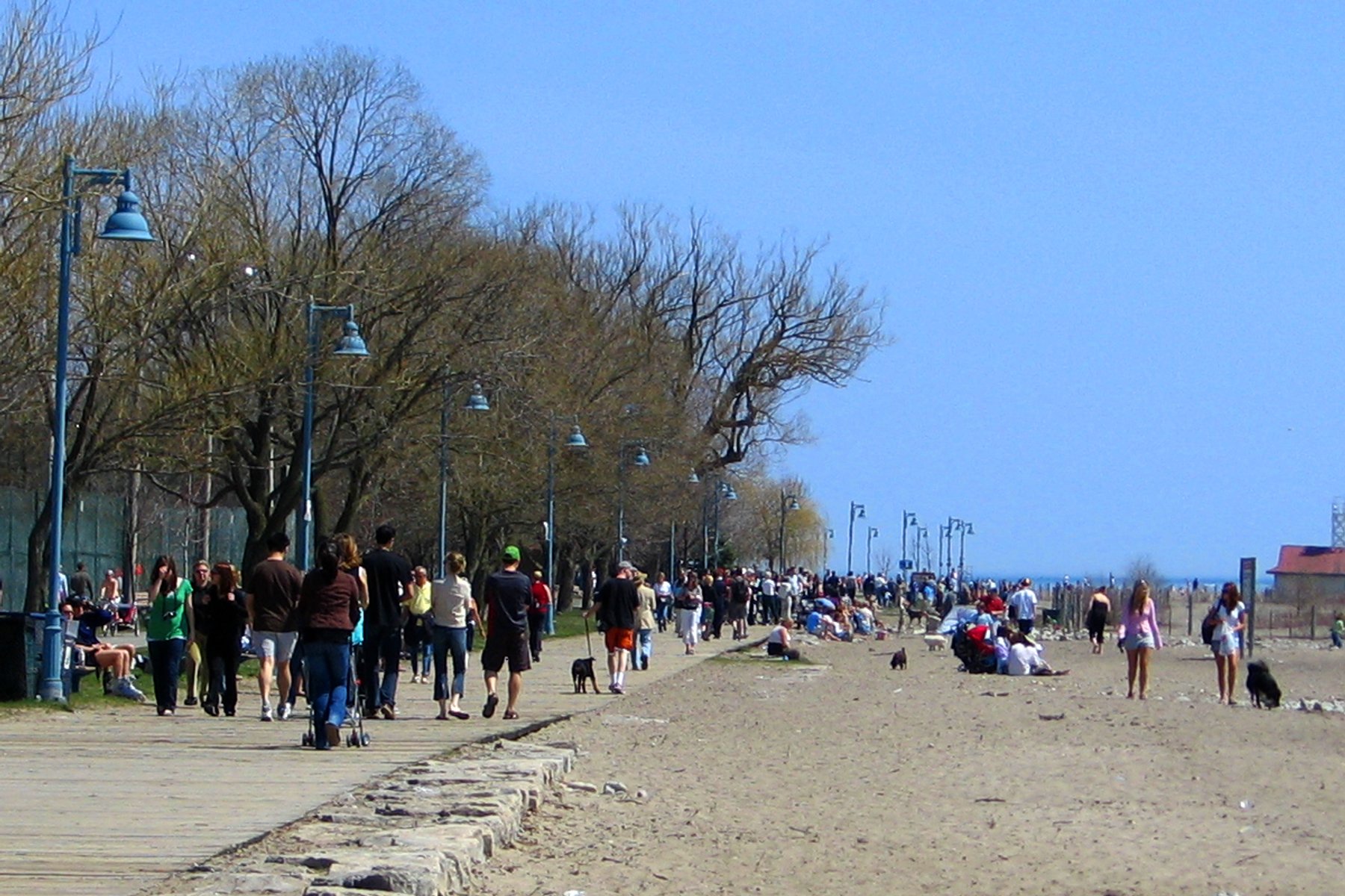 The Beaches