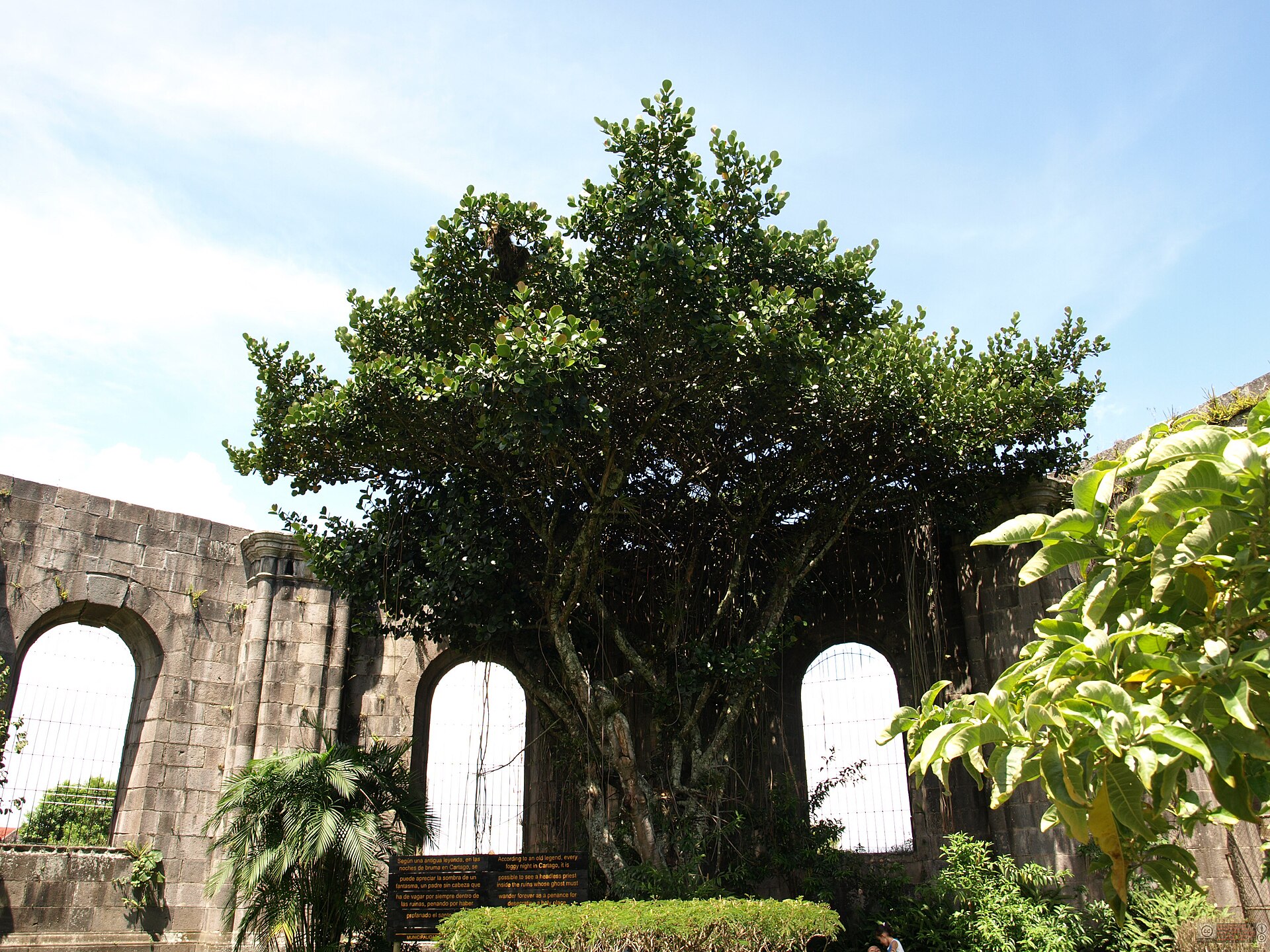 Cartago