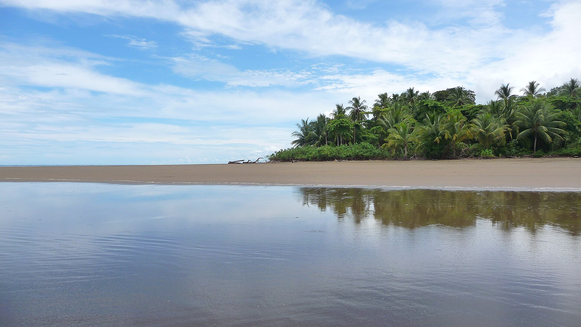 Uvita
