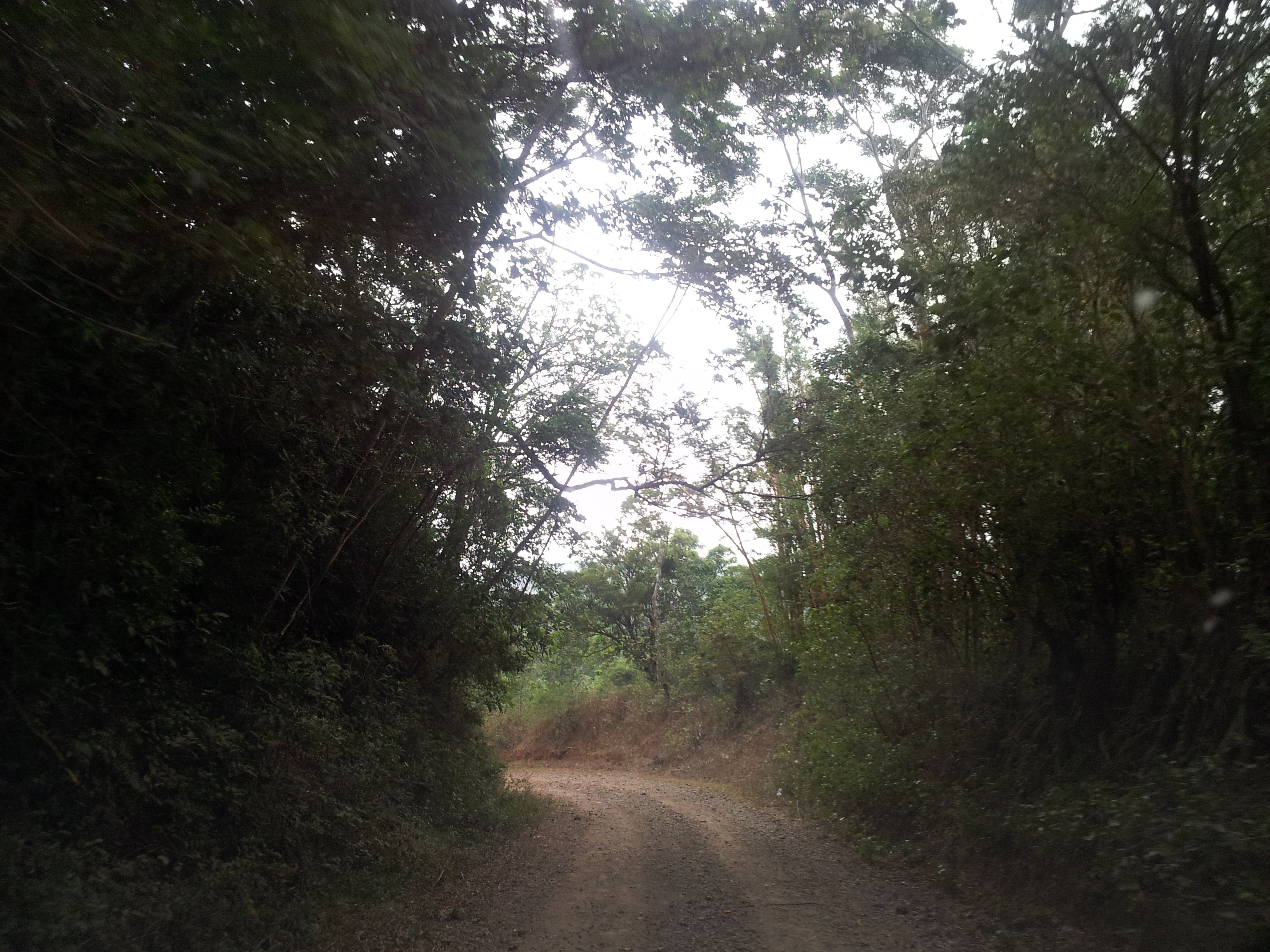 Concepcion de Ataco