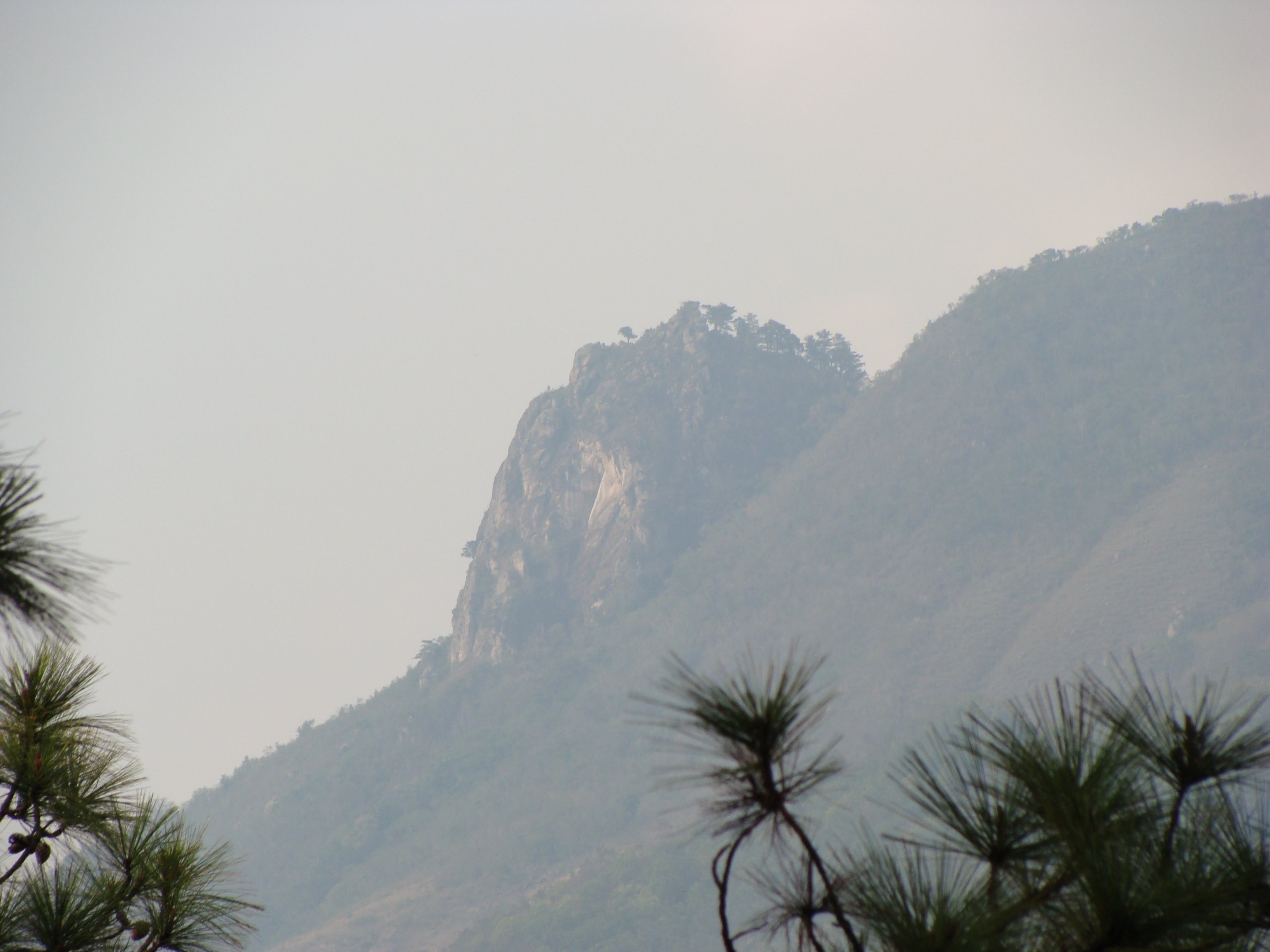 La Palma