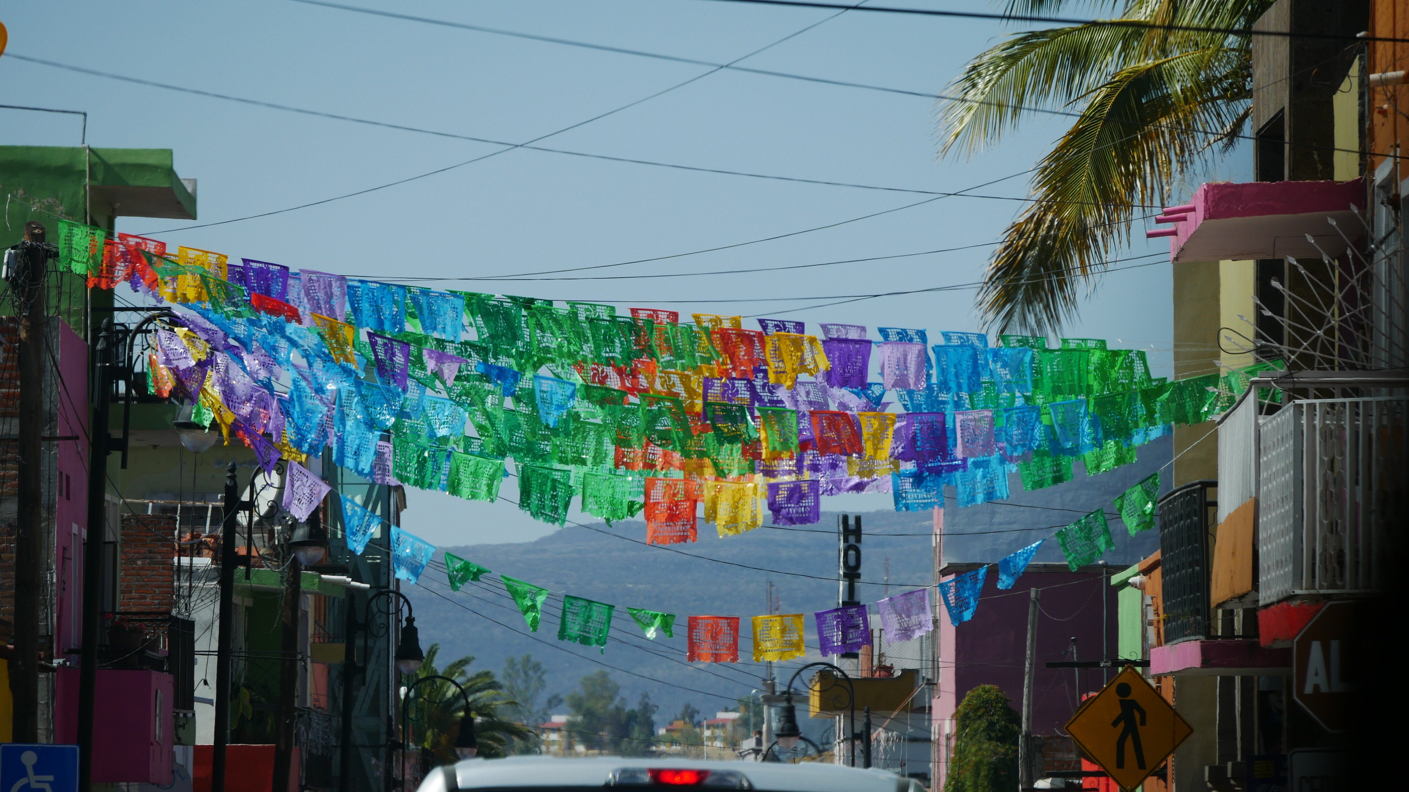Calvillo