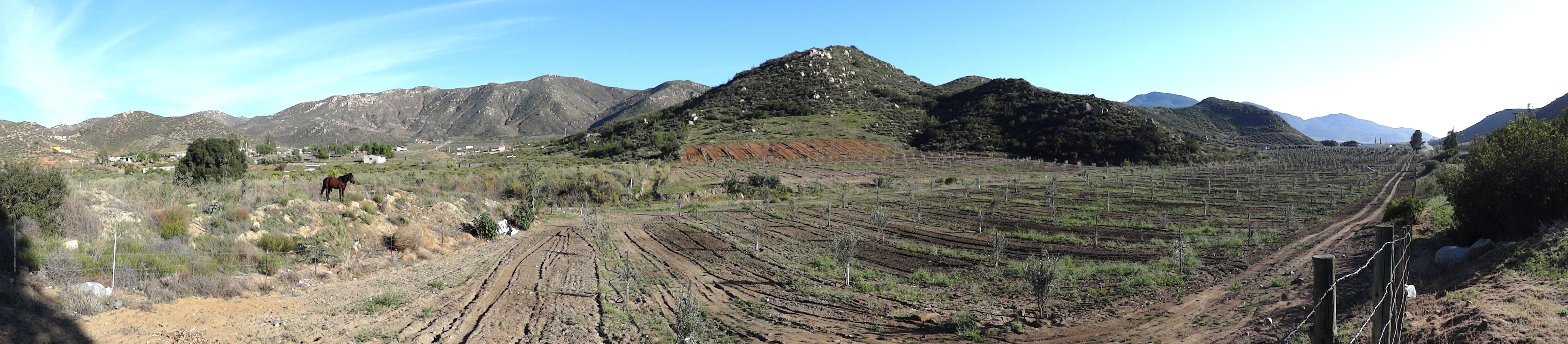 Valle de Guadalupe