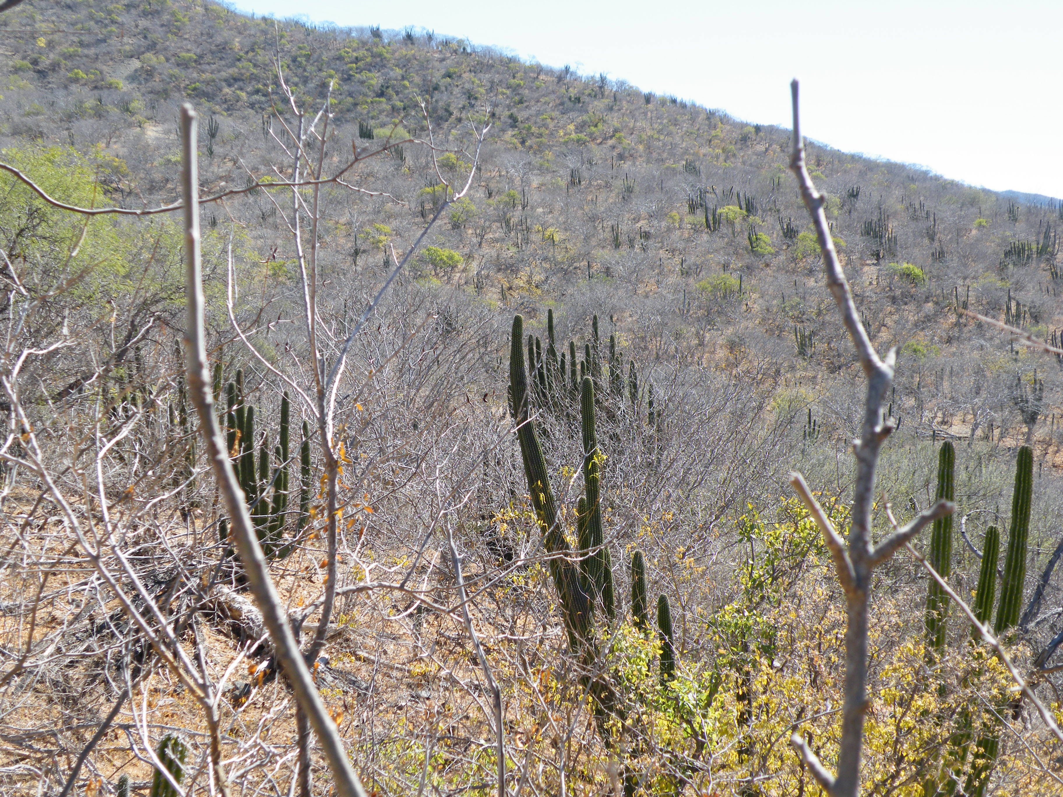 Baja California Sur