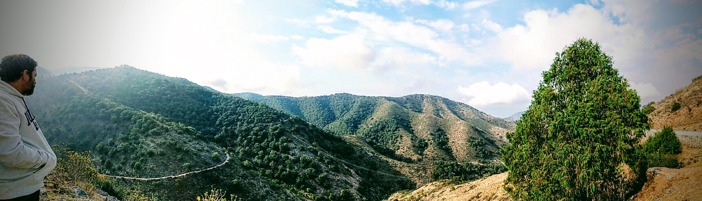 Jalpan