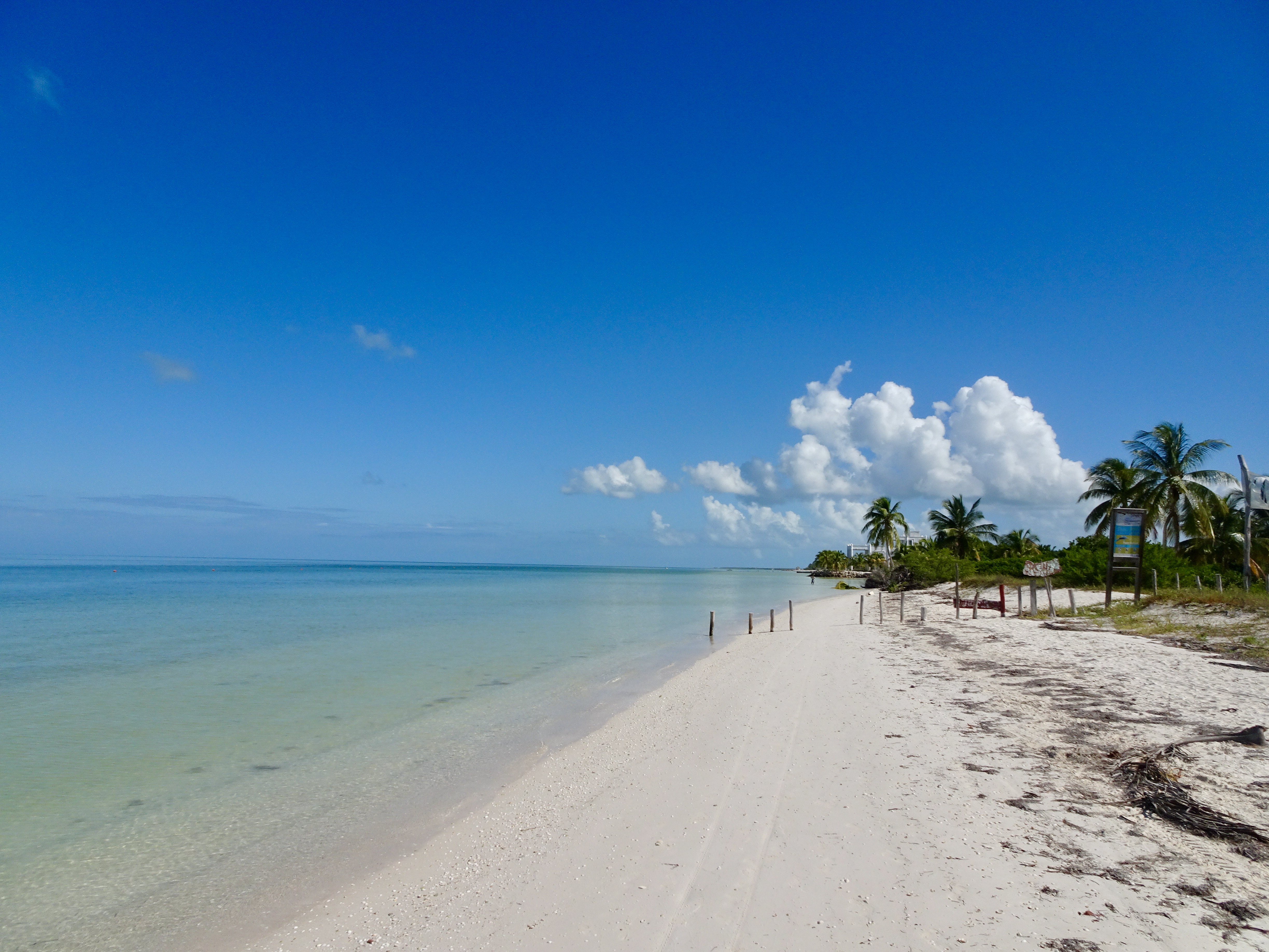 Holbox