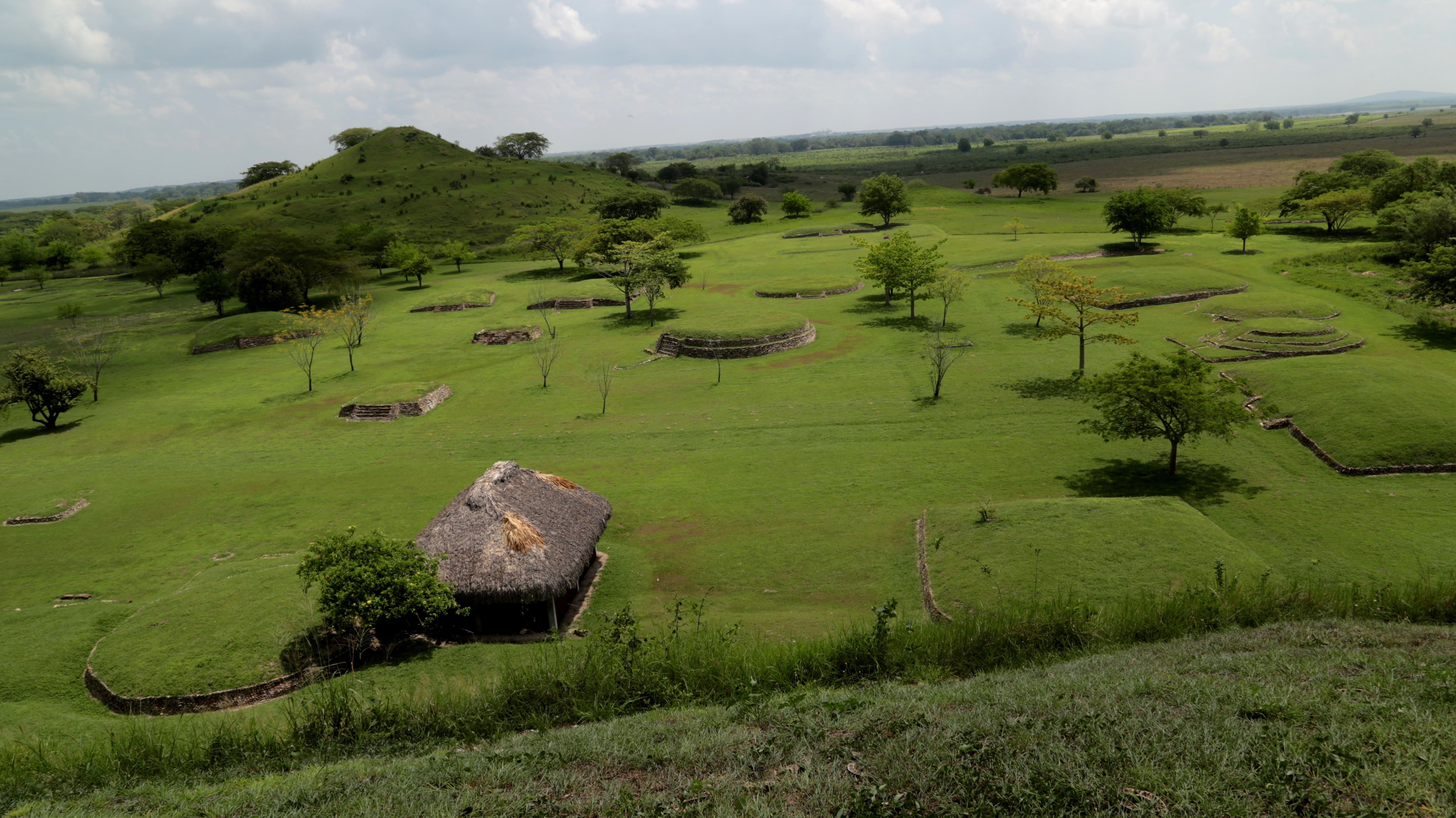Tamuín