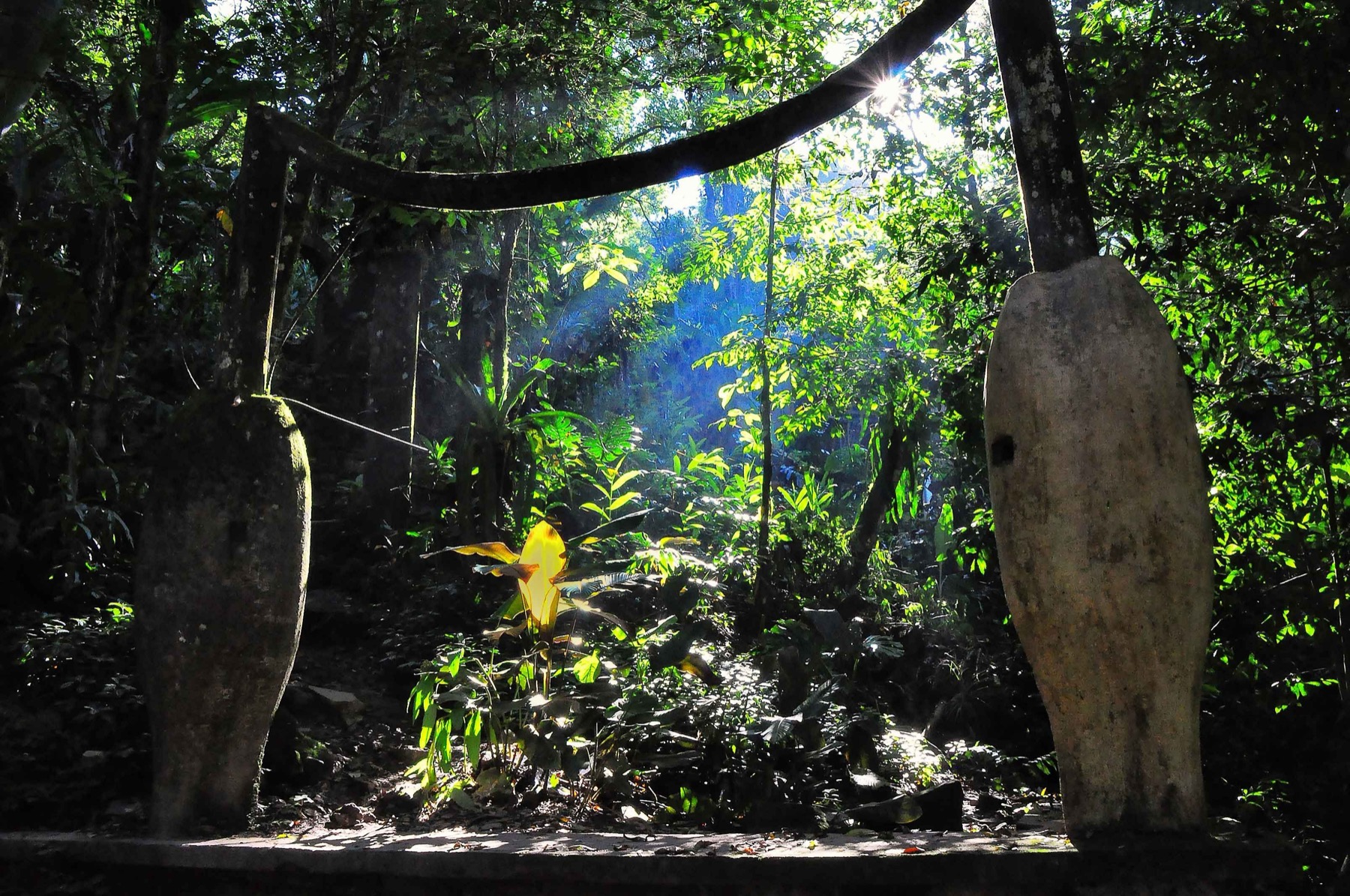 Xilitla