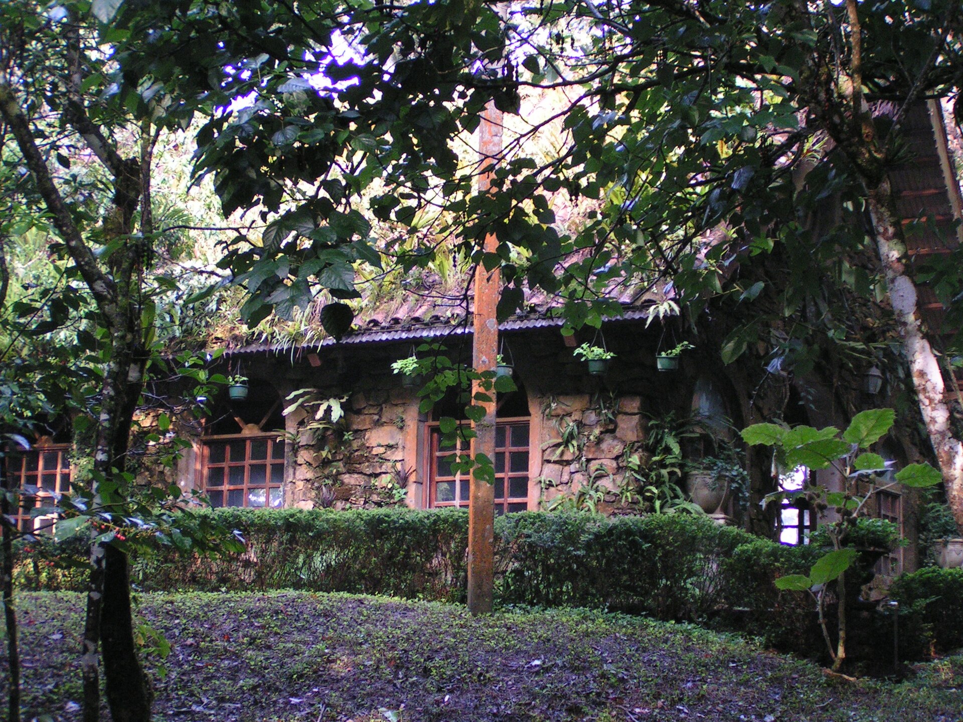 Selva Negra