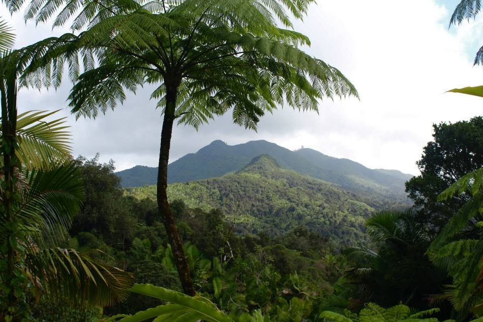 El Yunque