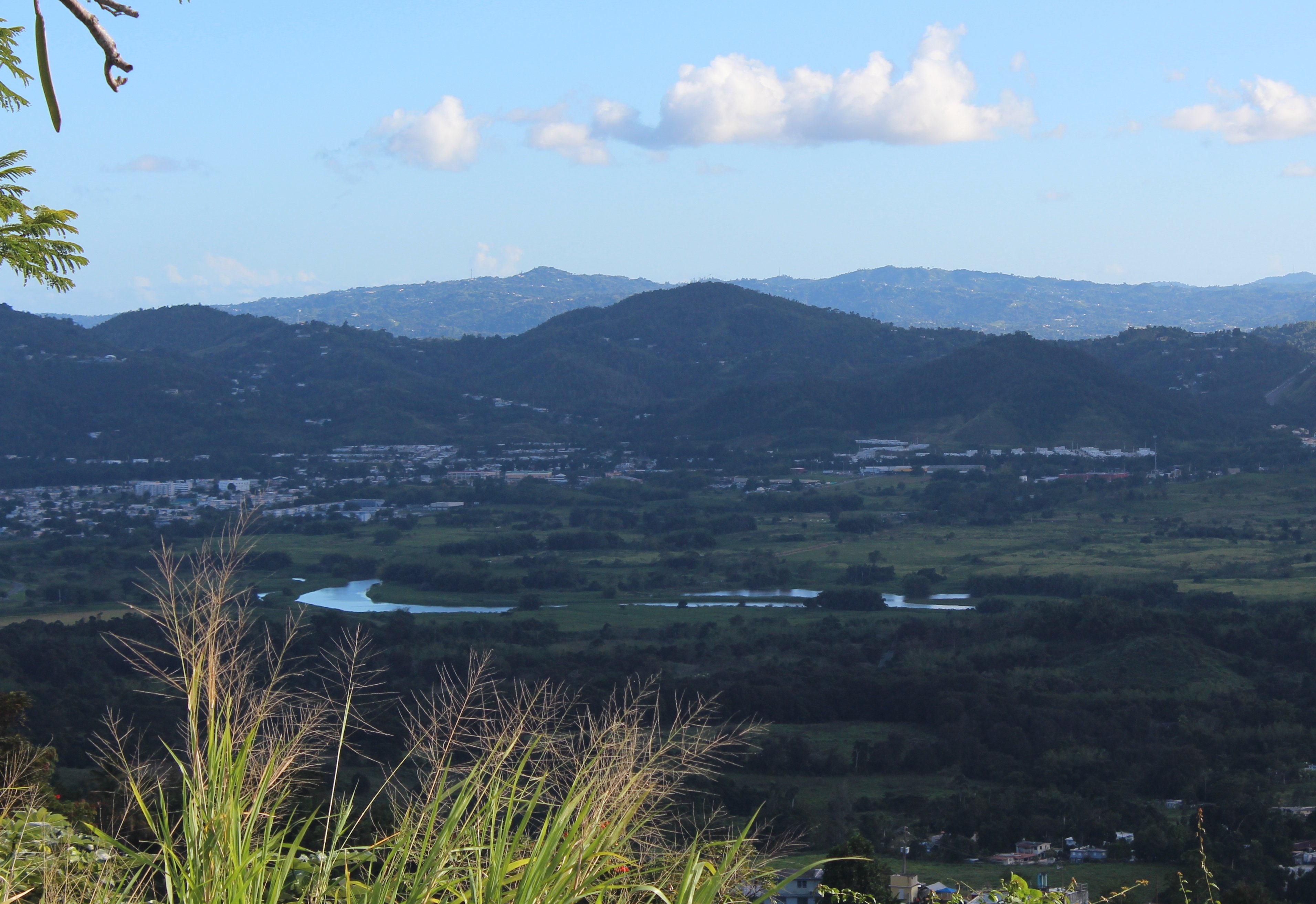 Gurabo