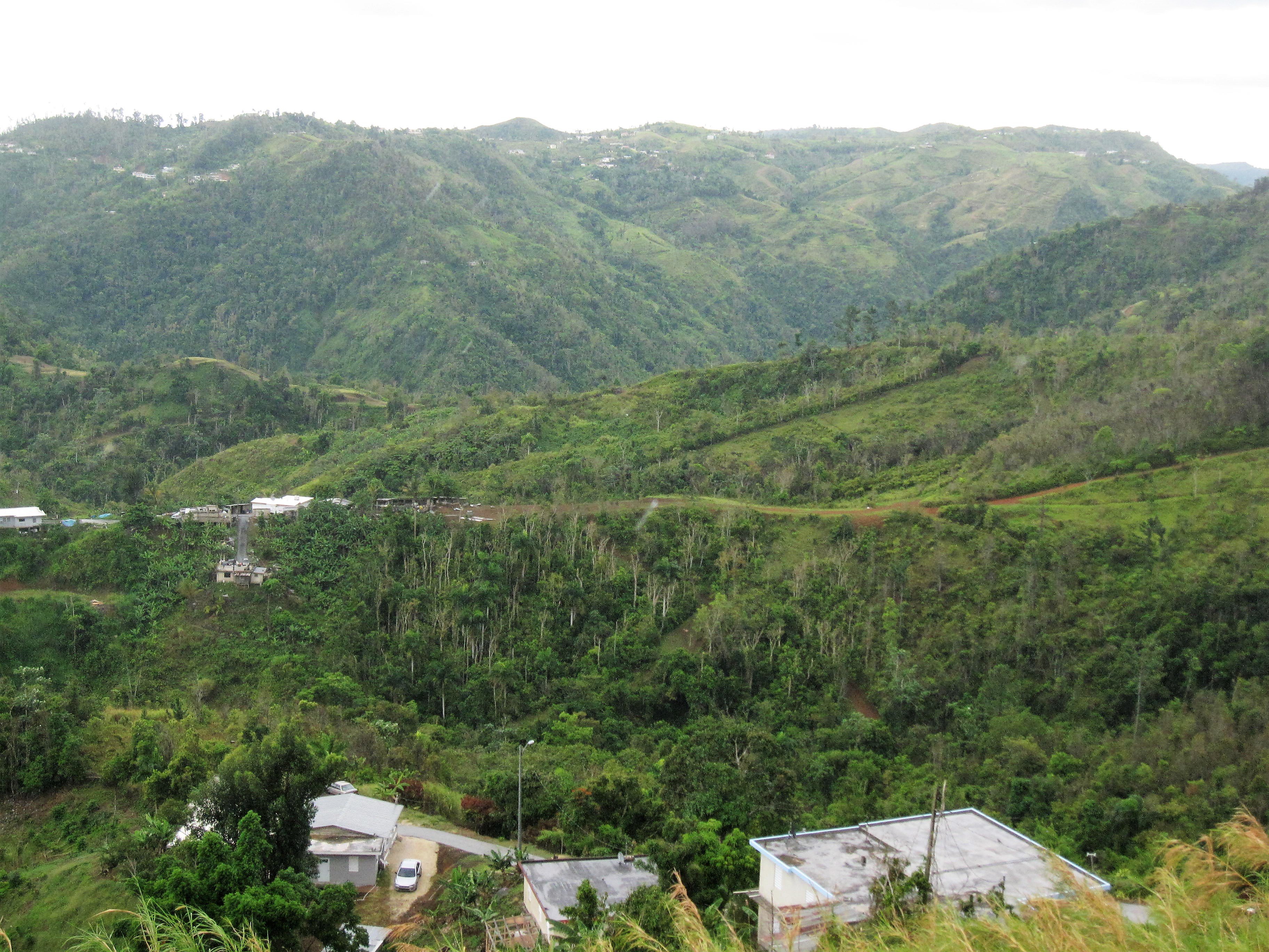 Orocovis