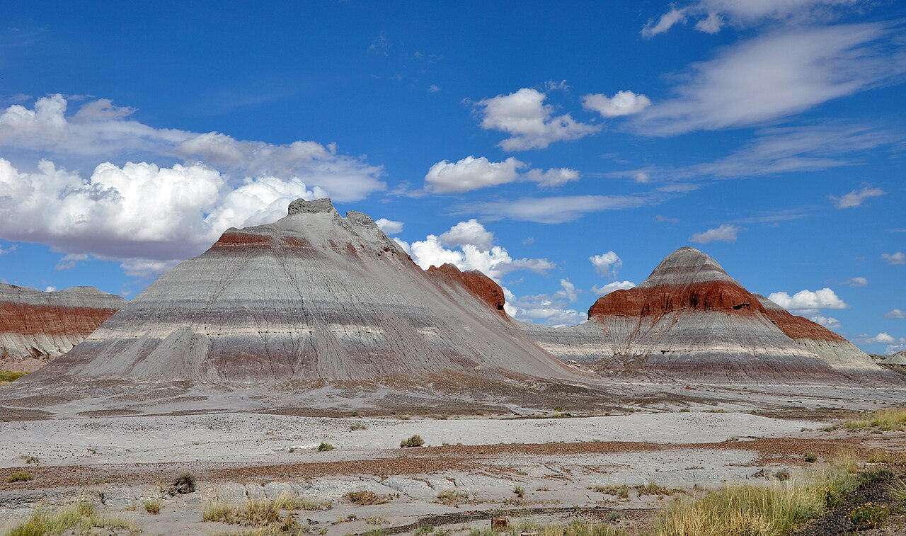 Arizona