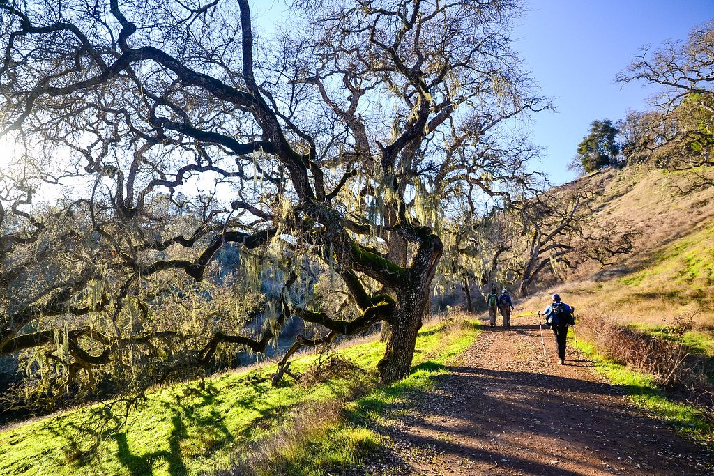 Morgan Hill