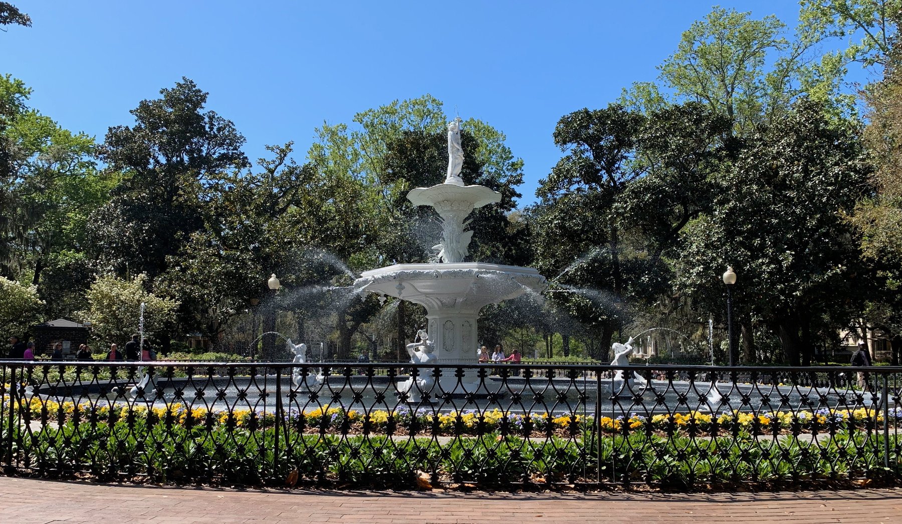 Savannah