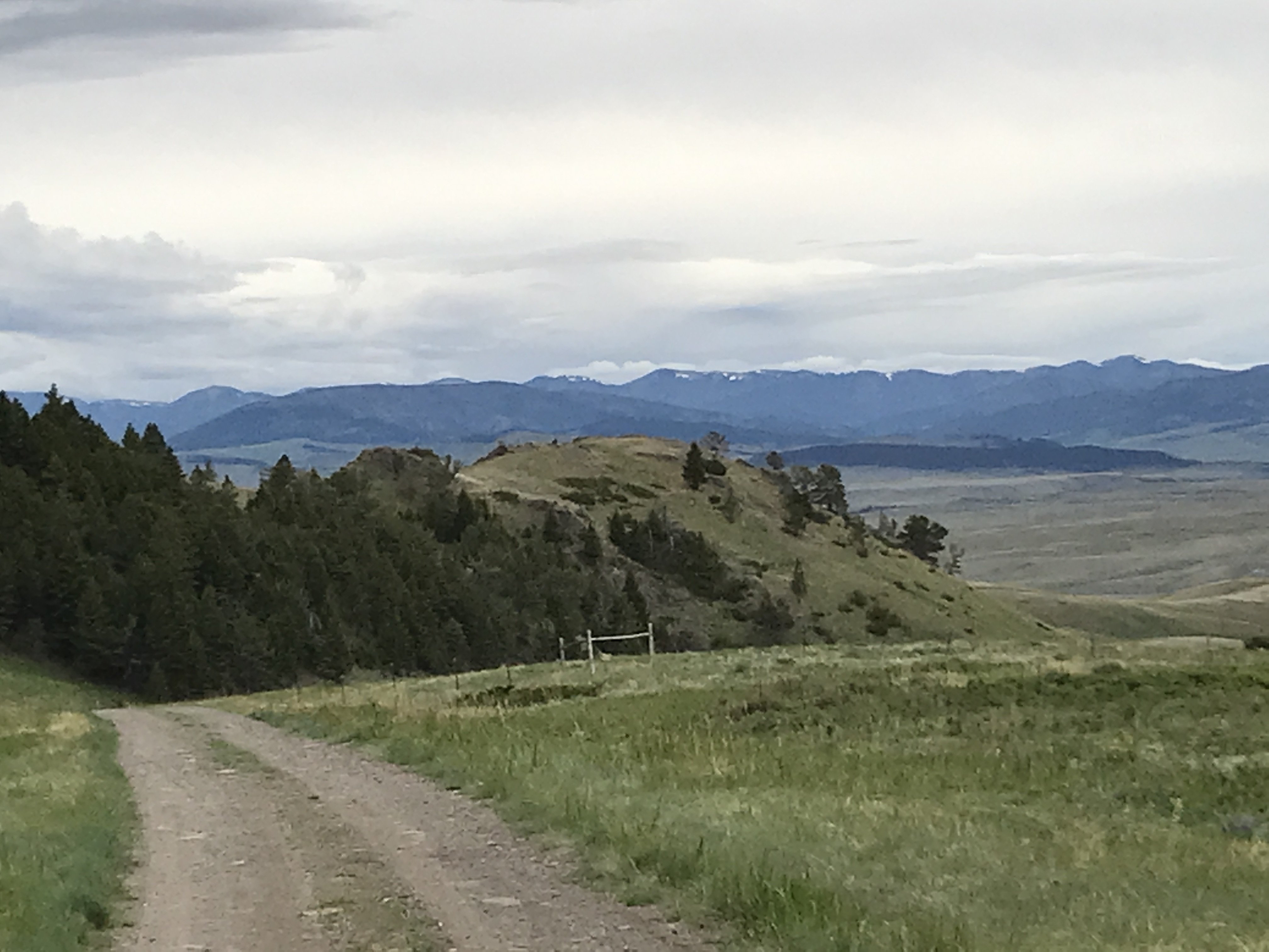 Montana