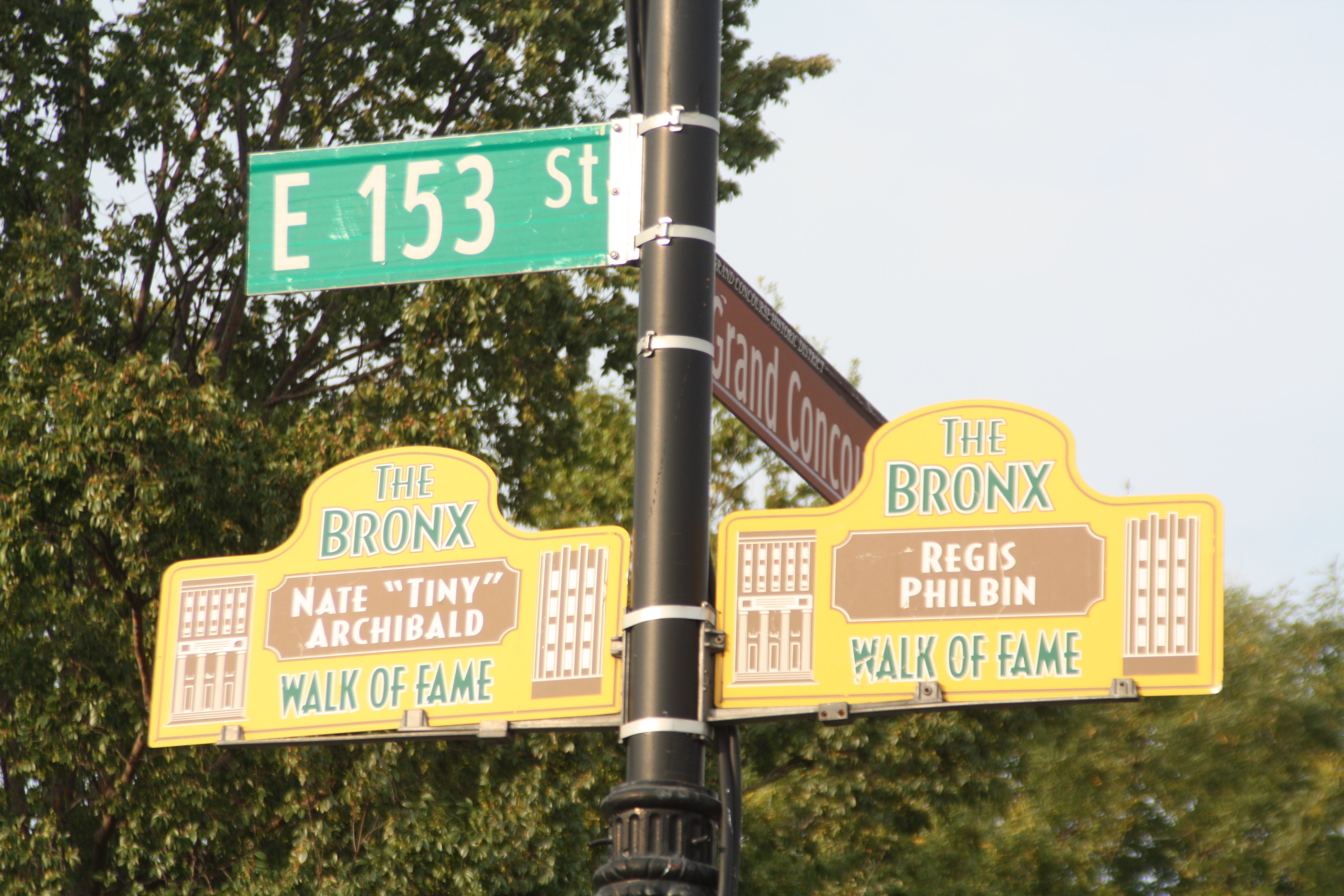 The Bronx