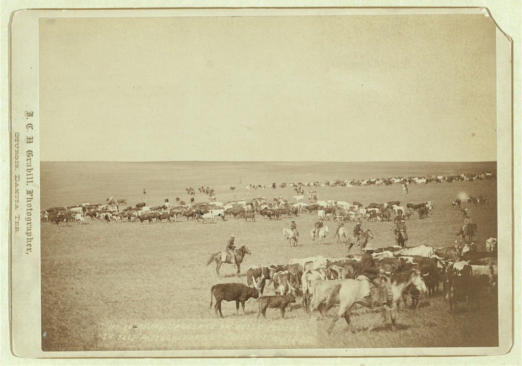 Belle Fourche