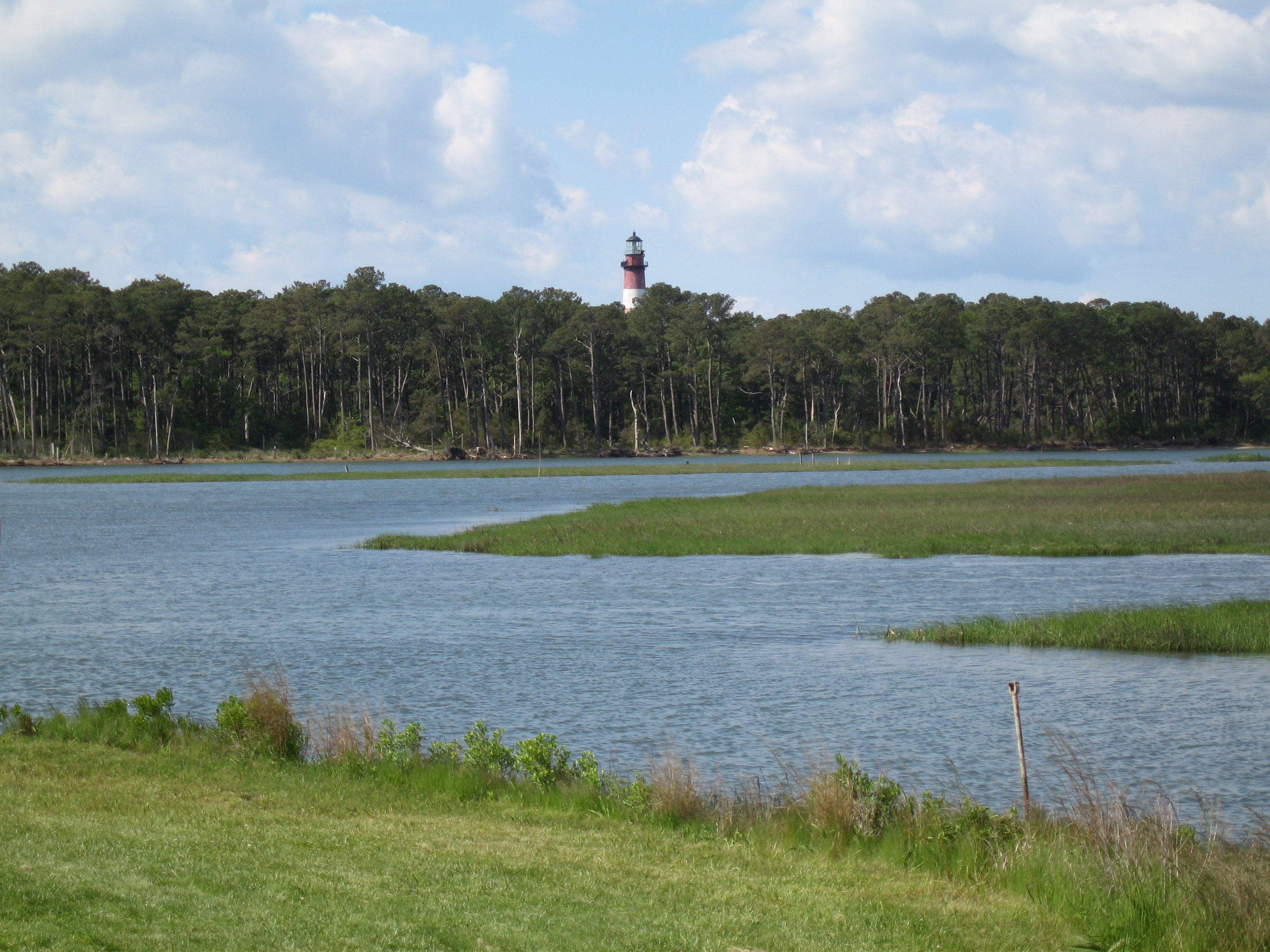 Chincoteague