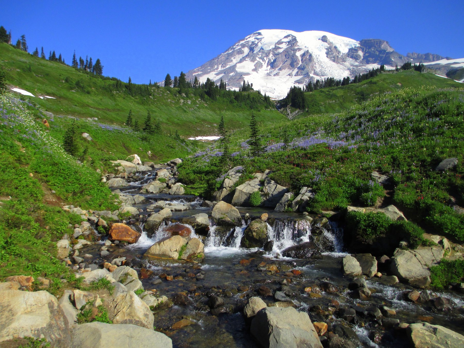 Mt. Rainier National Park