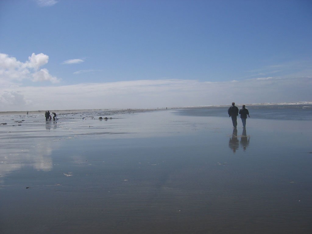 Ocean Shores